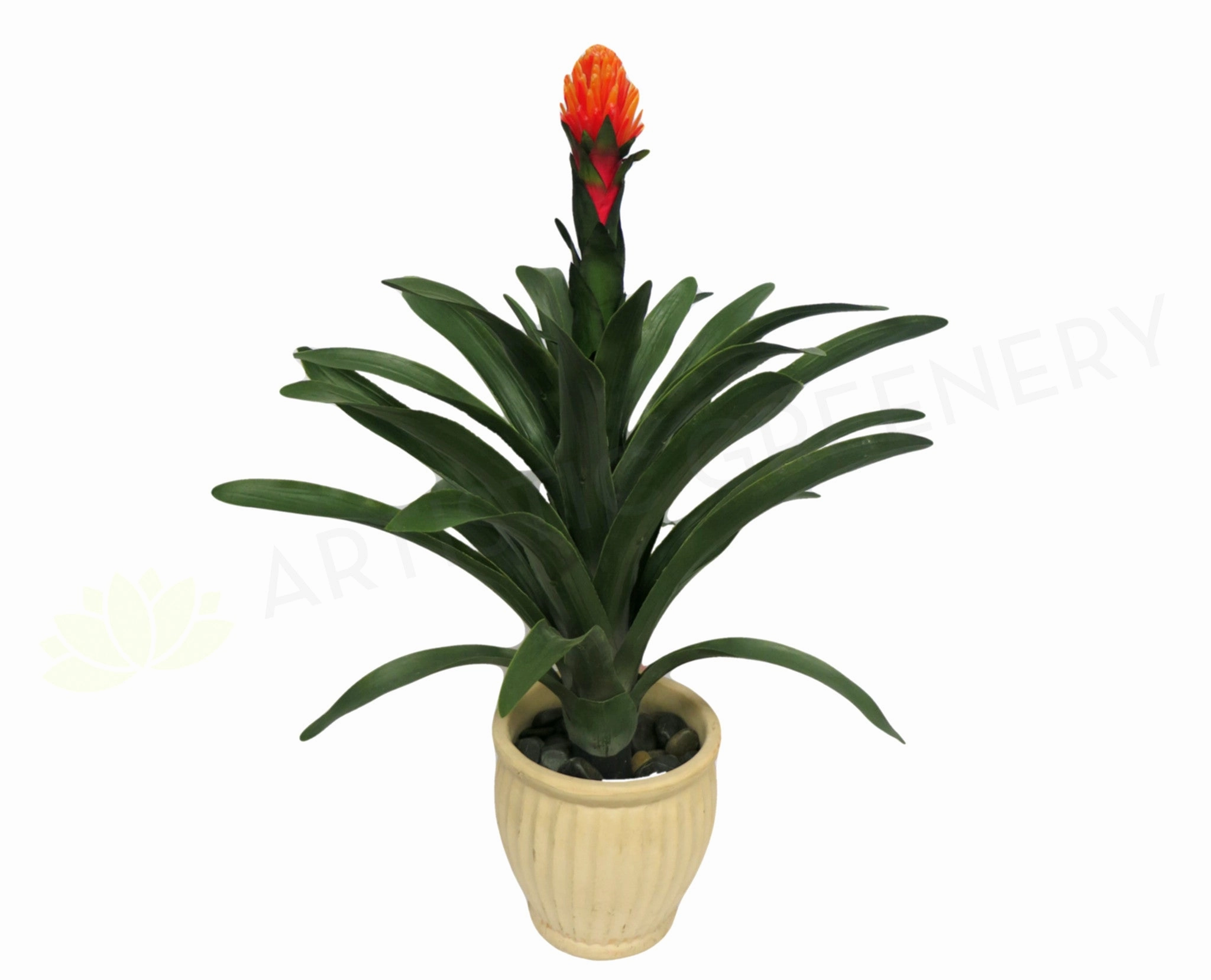 T0001 Bromeliad Plant (Red Flower) 83cm indoor plant stand  