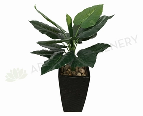 T00149 Taro Plant / Colocasia Esculenta 75cm Real Touch Leaves indoor plant stand  