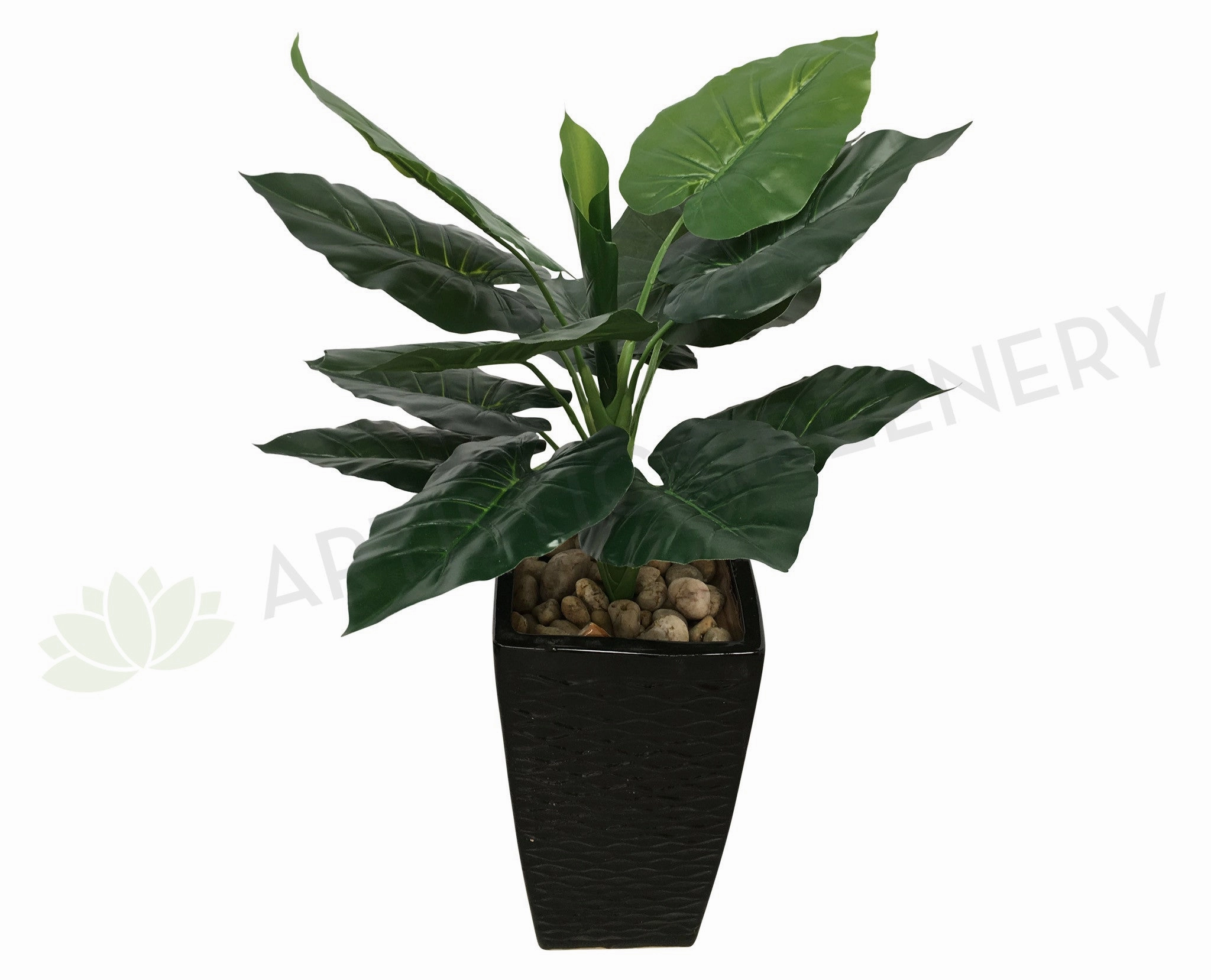T00149 Taro Plant / Colocasia Esculenta 75cm Real Touch Leaves indoor plant stand  