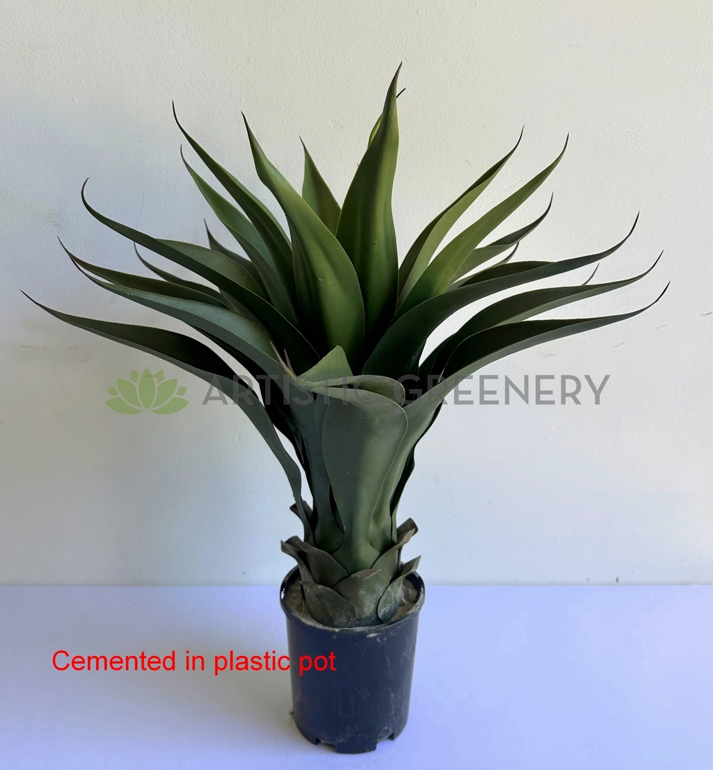 T0035 Large Aloe Vera 60cm
