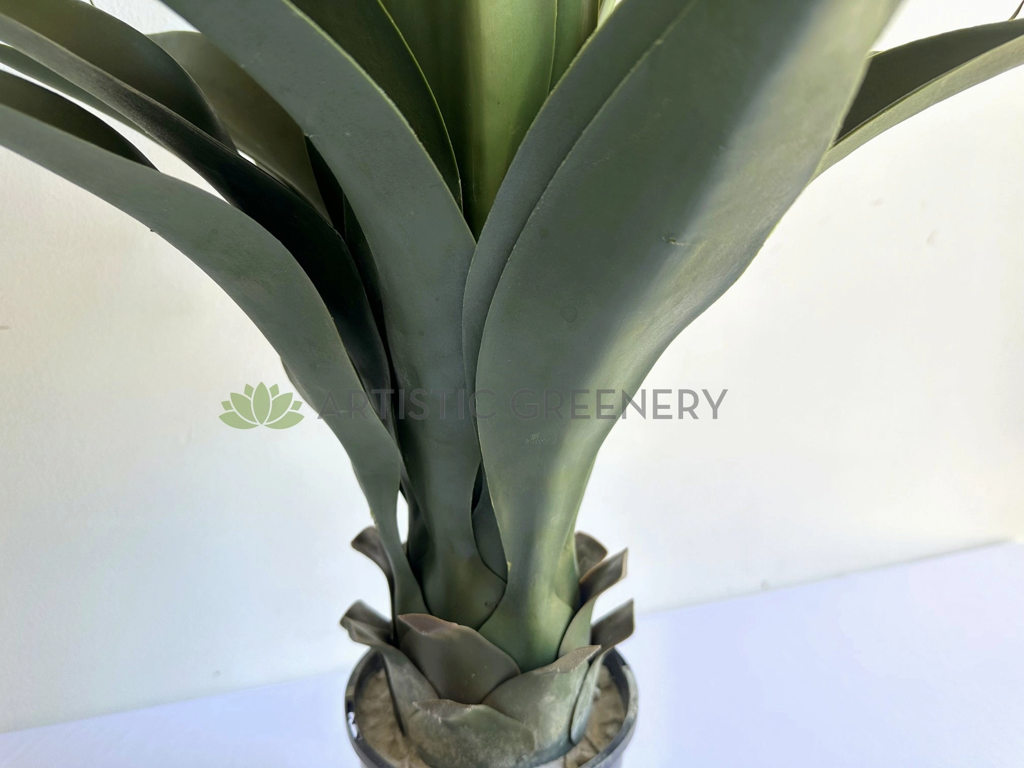 T0035 Large Aloe Vera 60cm
