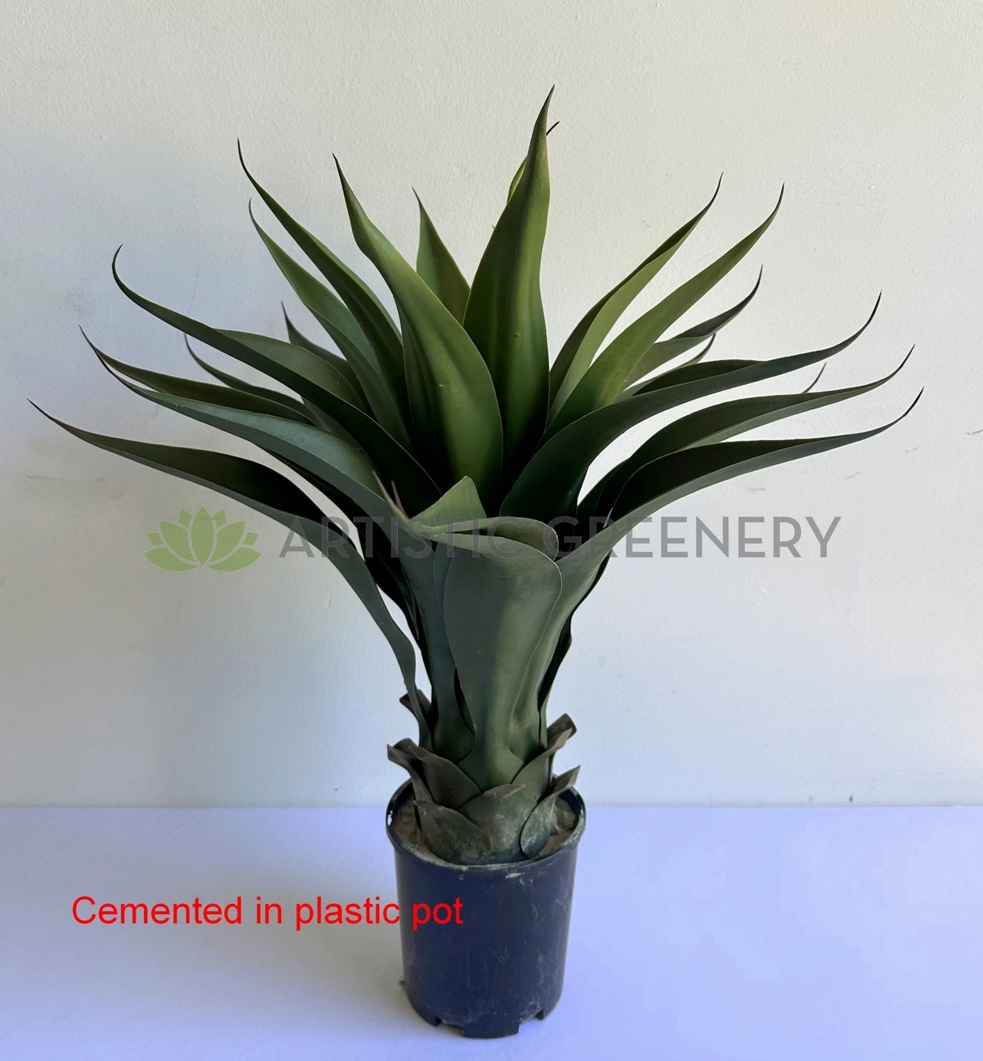 T0035 Large Aloe Vera 60cm