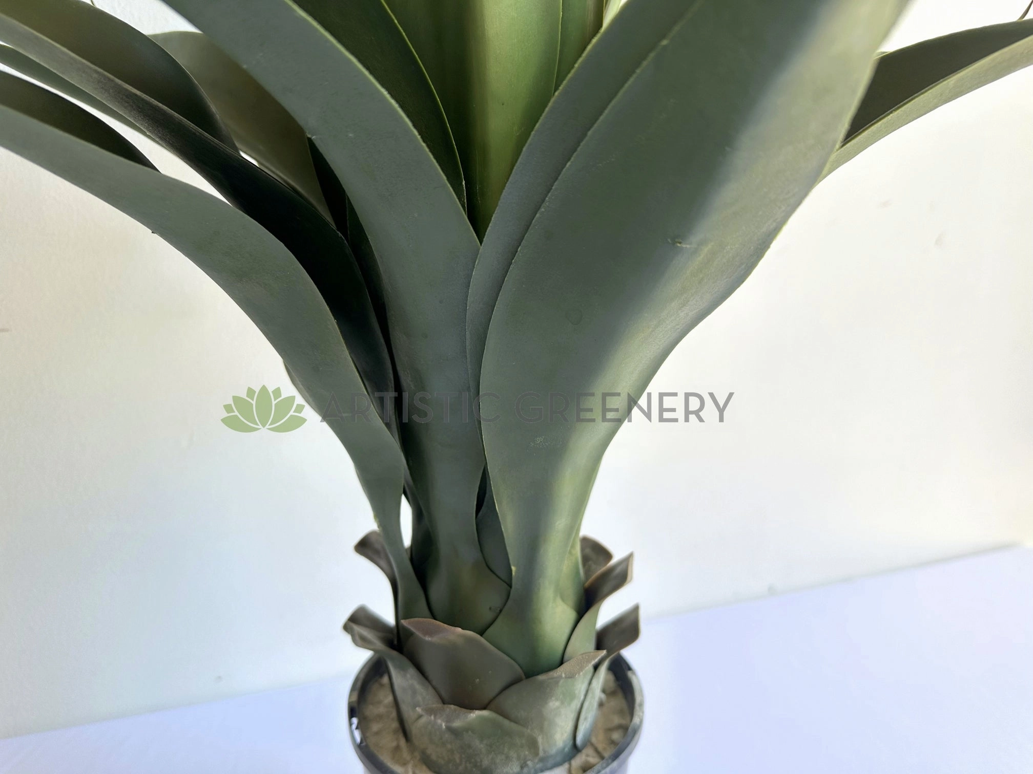 T0035 Large Aloe Vera 60cm