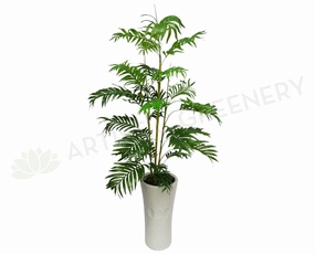 T0046 Golden Cane Palm / Chamaedorea Elegans Real Touch Leaves 2 Sizes sun perennial  