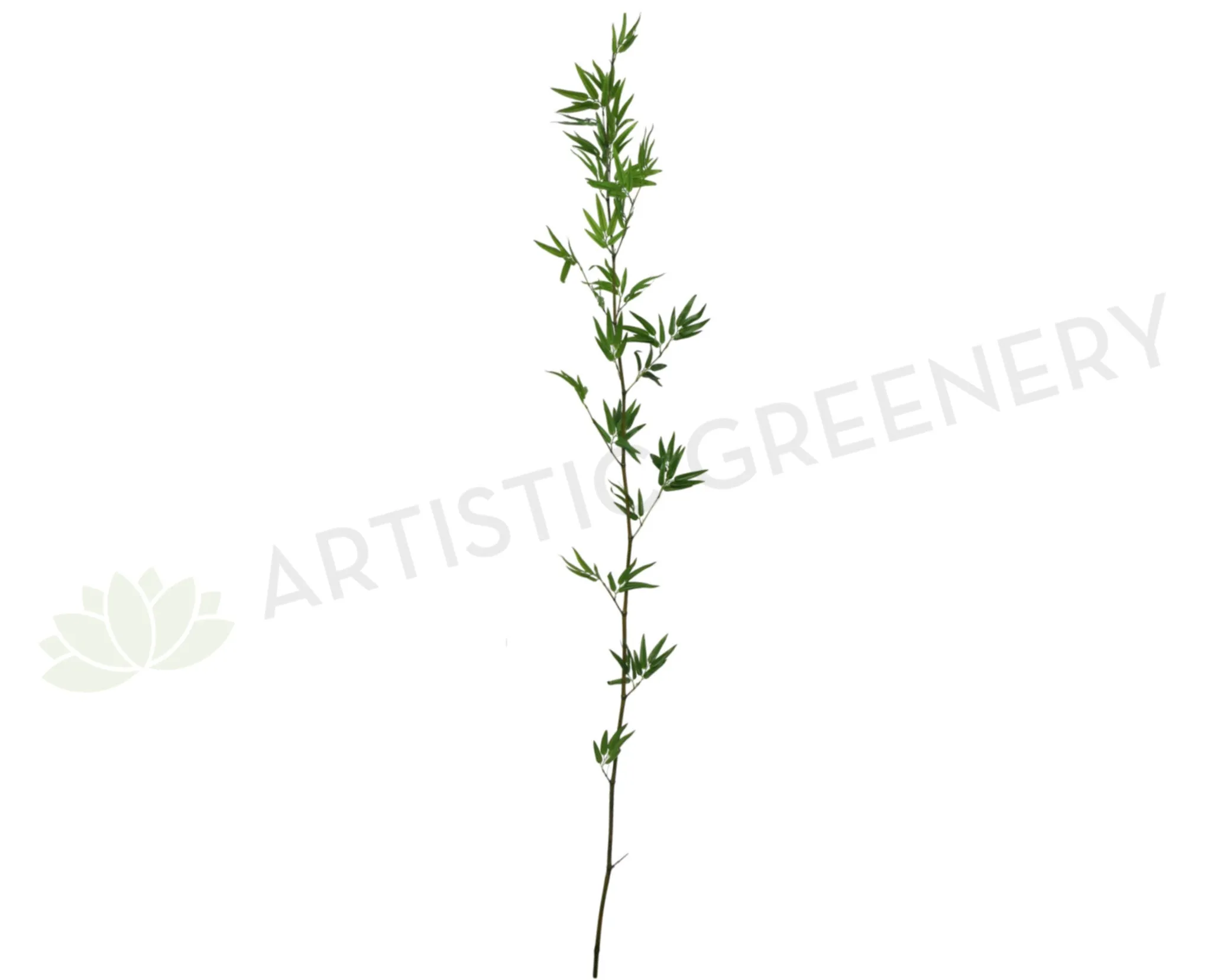 T0051 Real Bamboo Stick with Real Touch Leaves 200-240cm dried green plant  