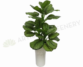T0062 Calathea Orbifolia Real Touch Leaves 120cm sun perennial  