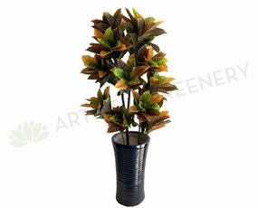 T0066L Red Croton Tree Real Touch Leaves 140cm sun perennial  
