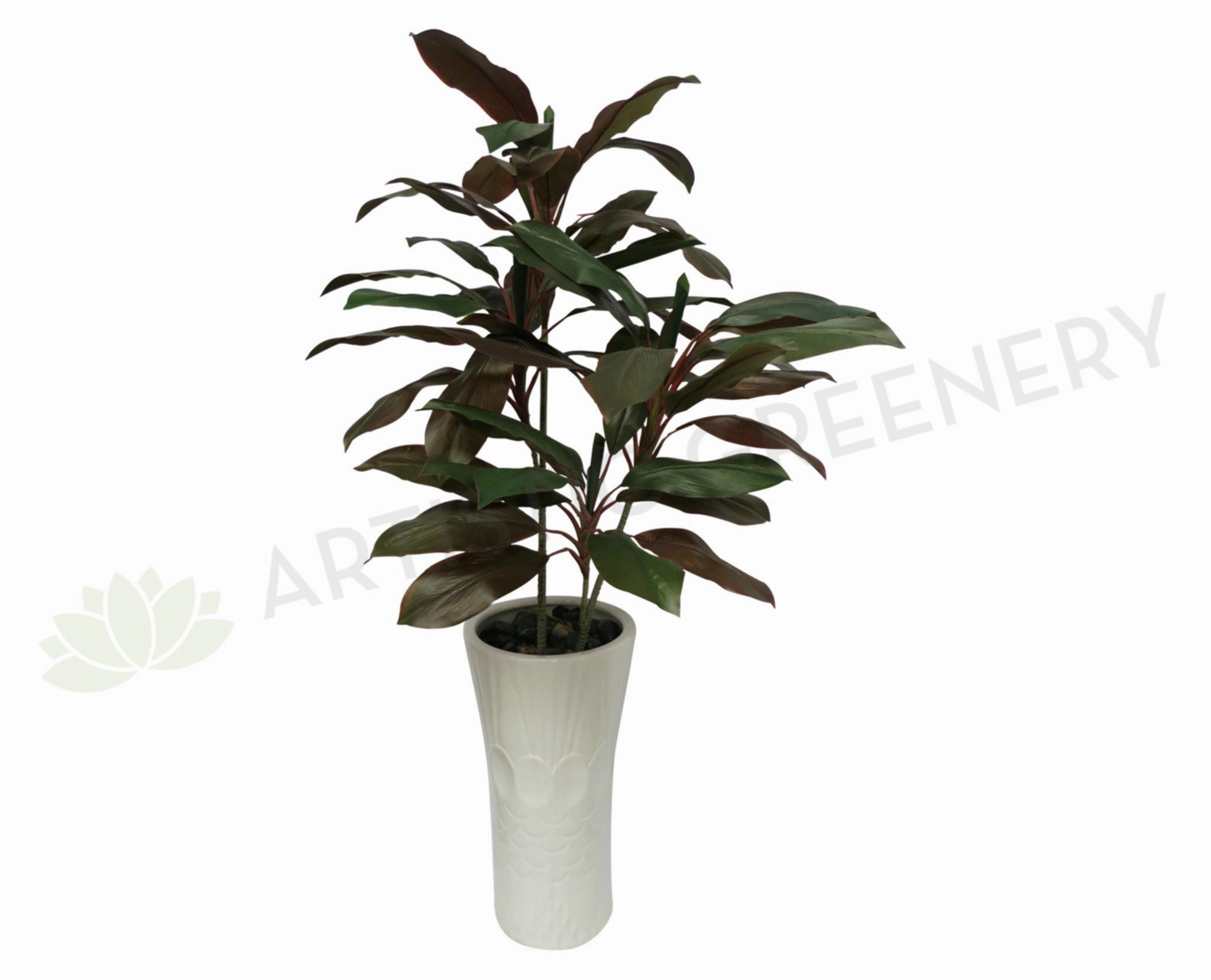 T0069 Cordyline Rumba Real Touch Leaves 130cm sun perennial  