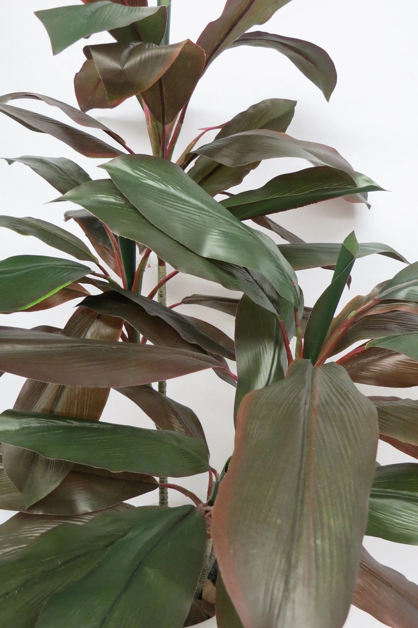 T0069 Cordyline Rumba Real Touch Leaves 130cm