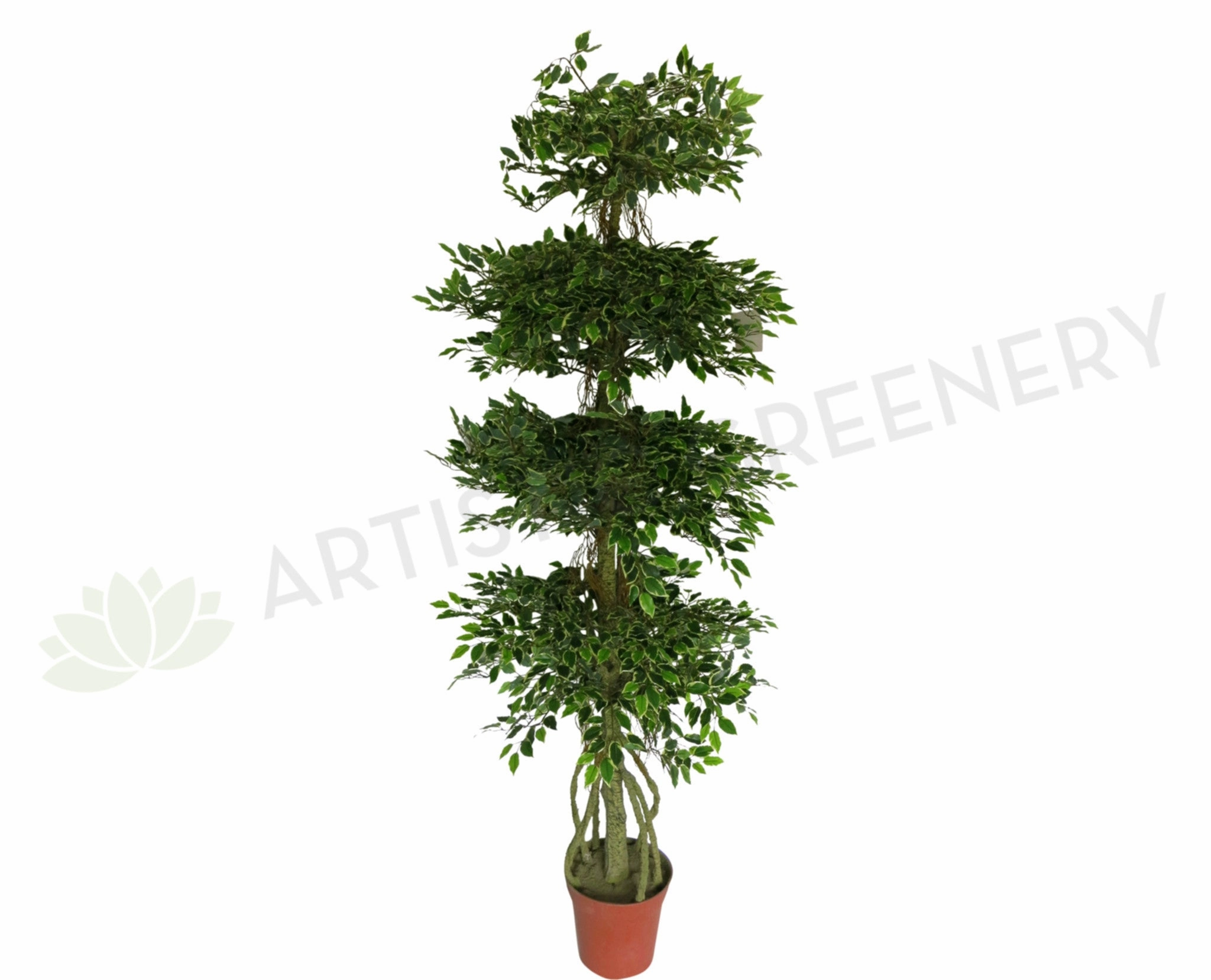 T0073 Ficus Tree 4-Tiers 195cm Real Touch Leaves with white edge sun perennial  