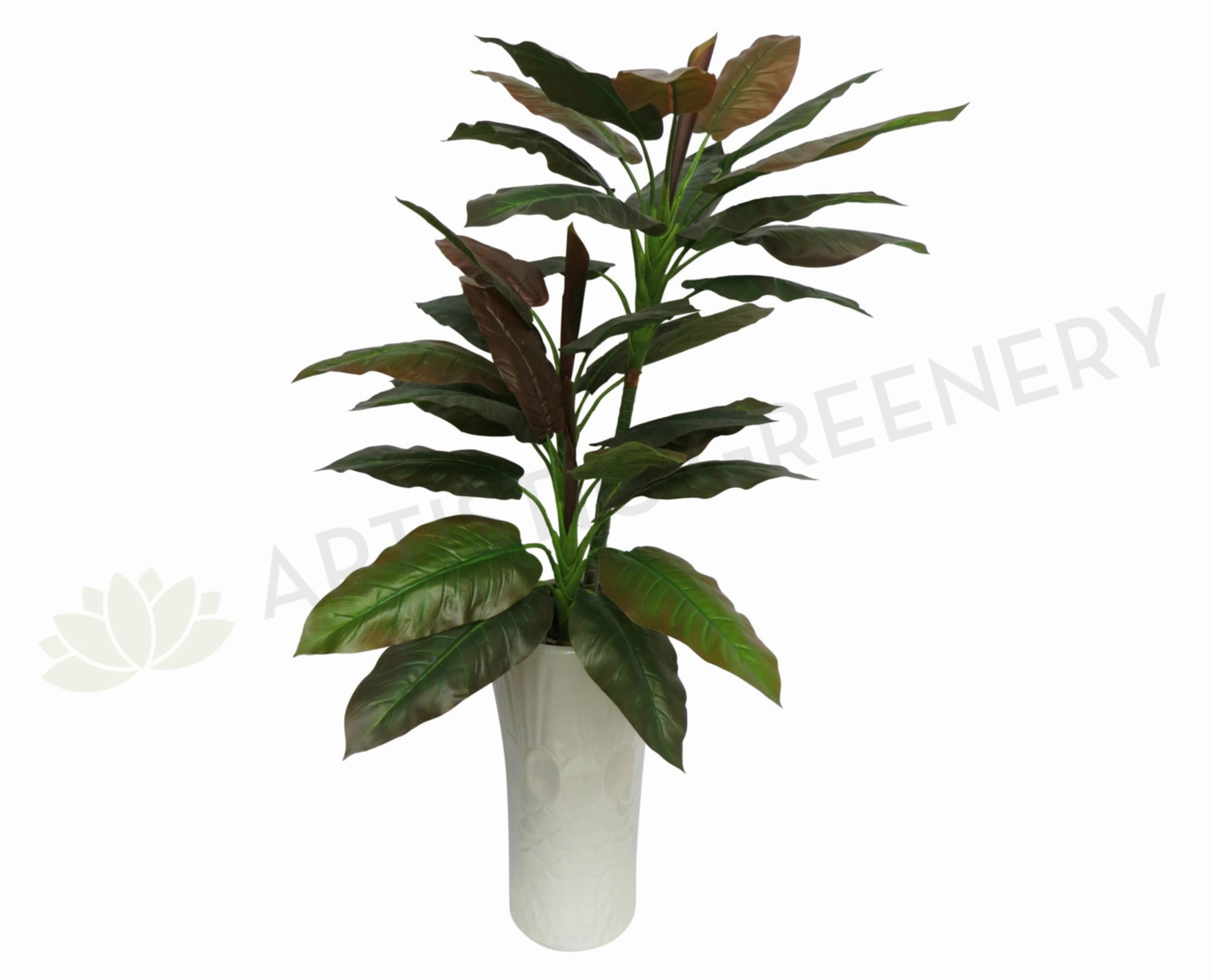 T0079 Philodendron (Red Leaf) Real Touch 135cm sun perennial  