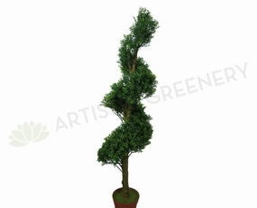 T0089 Spiral (Boxwood) Topiary Tree 165cm sun perennial  
