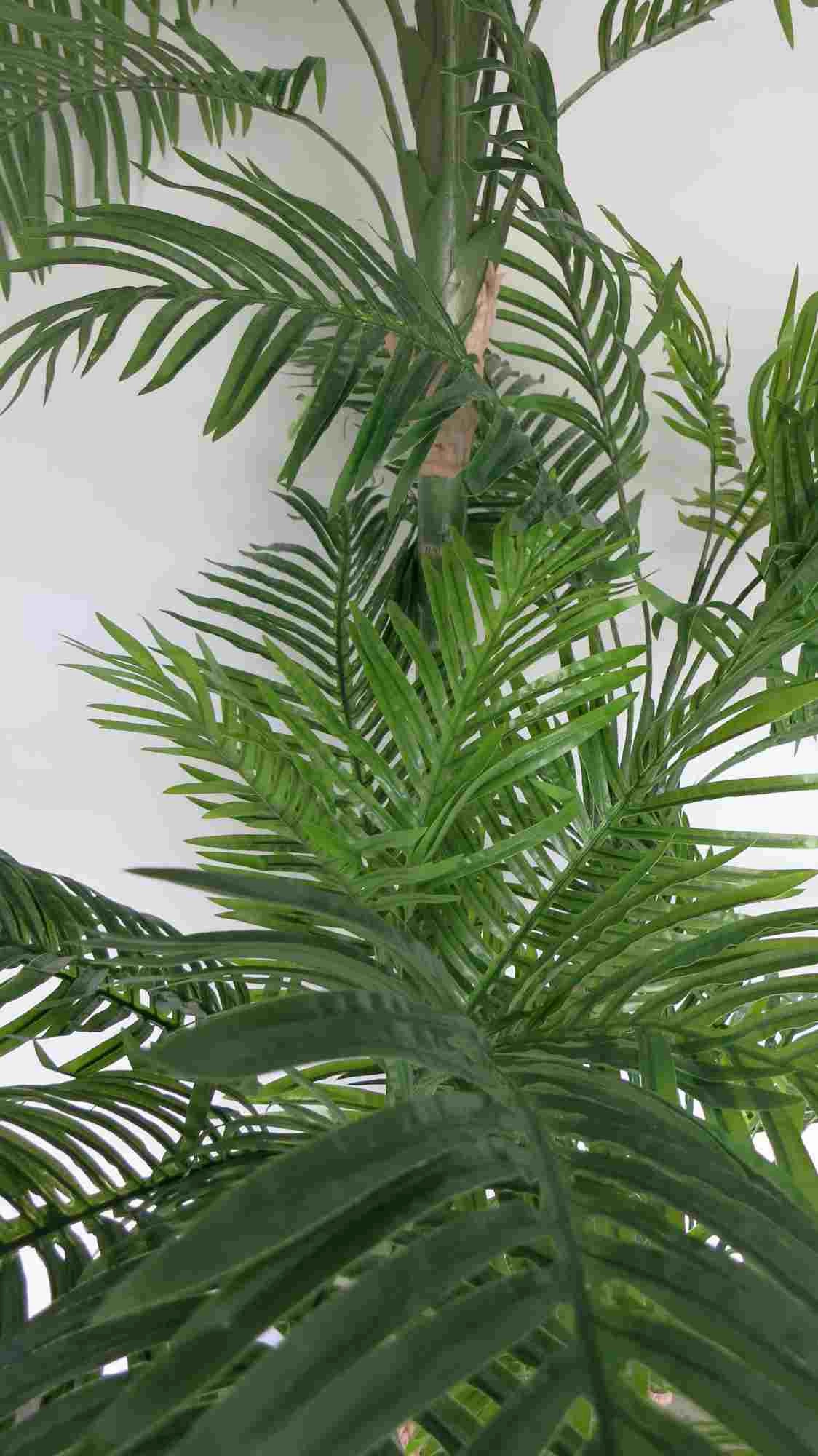 T0097 (New Style) Cabada Palm 250cm