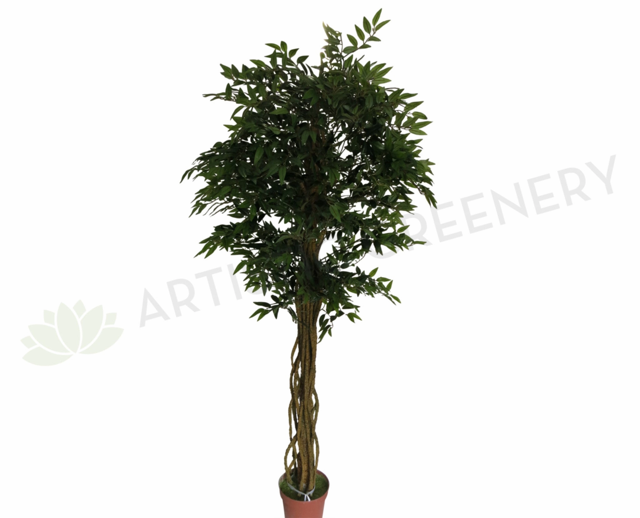 T0100 French Ficus Real Touch Leaves 175cm / 220cm sun perennial  