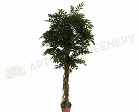 T0100 French Ficus Real Touch Leaves 175cm / 220cm sun perennial  