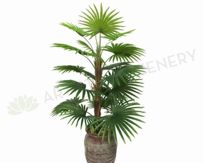 T0107-100 Ruffled Fan Palm Real Touch 100cm sun perennial  