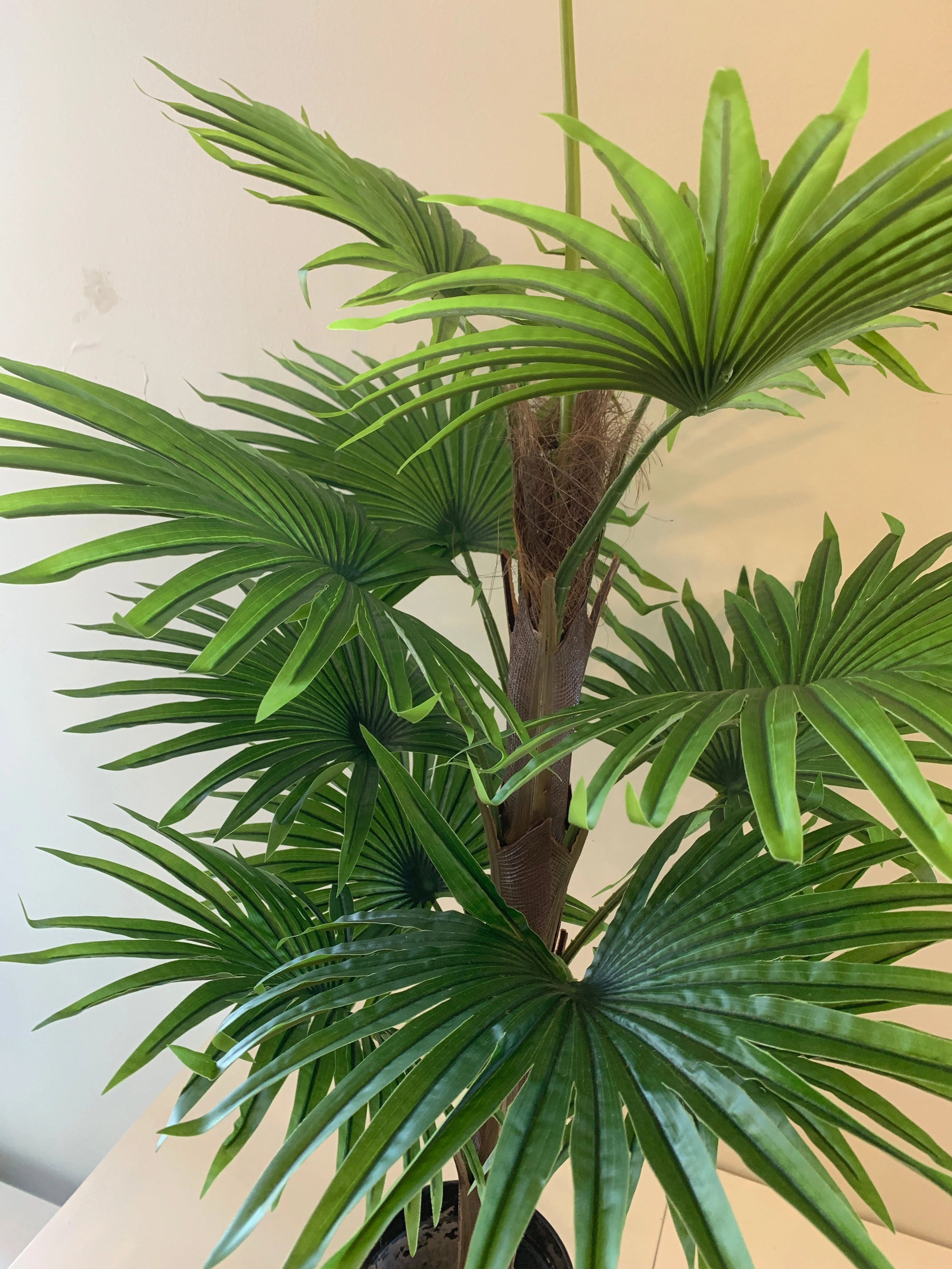 T0107-100 Ruffled Fan Palm Real Touch 100cm