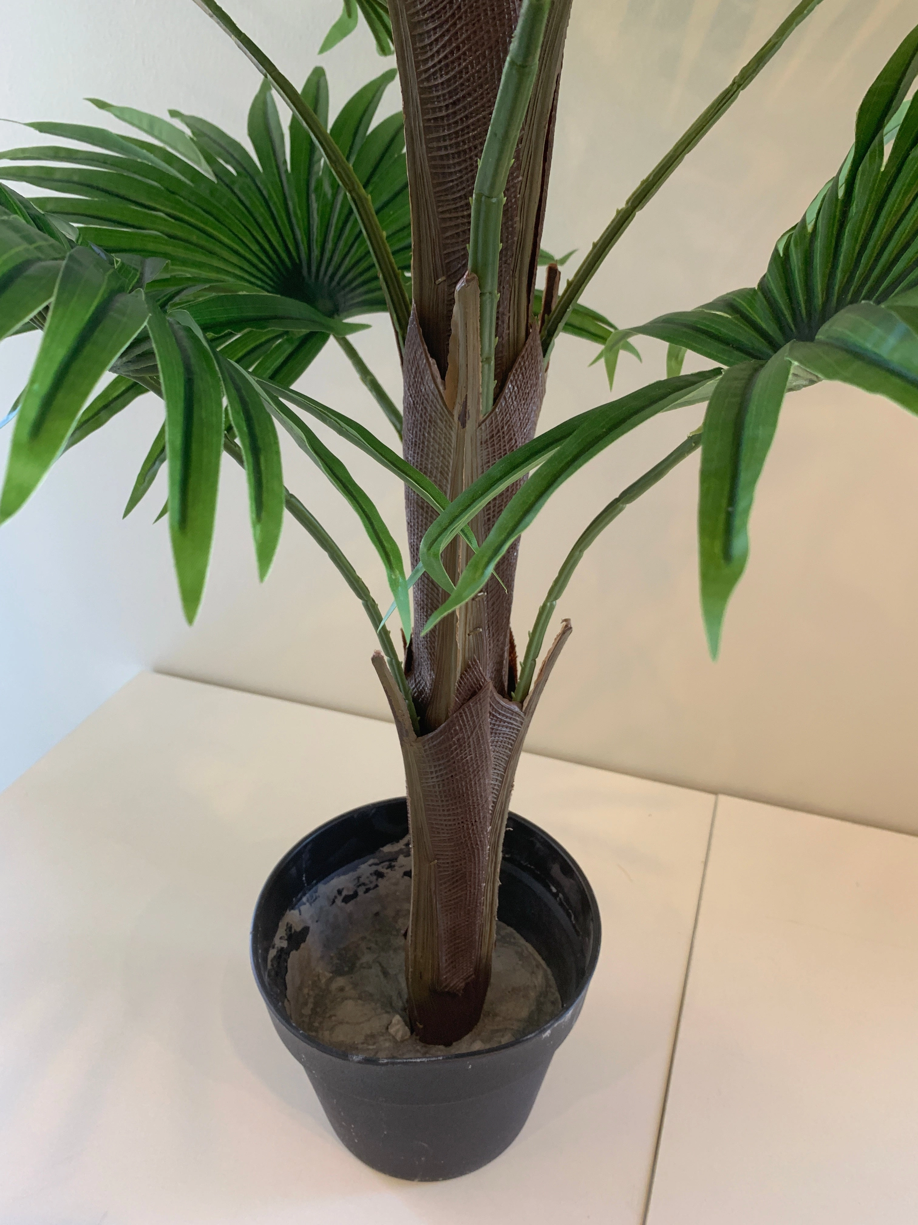T0107-100 Ruffled Fan Palm Real Touch 100cm