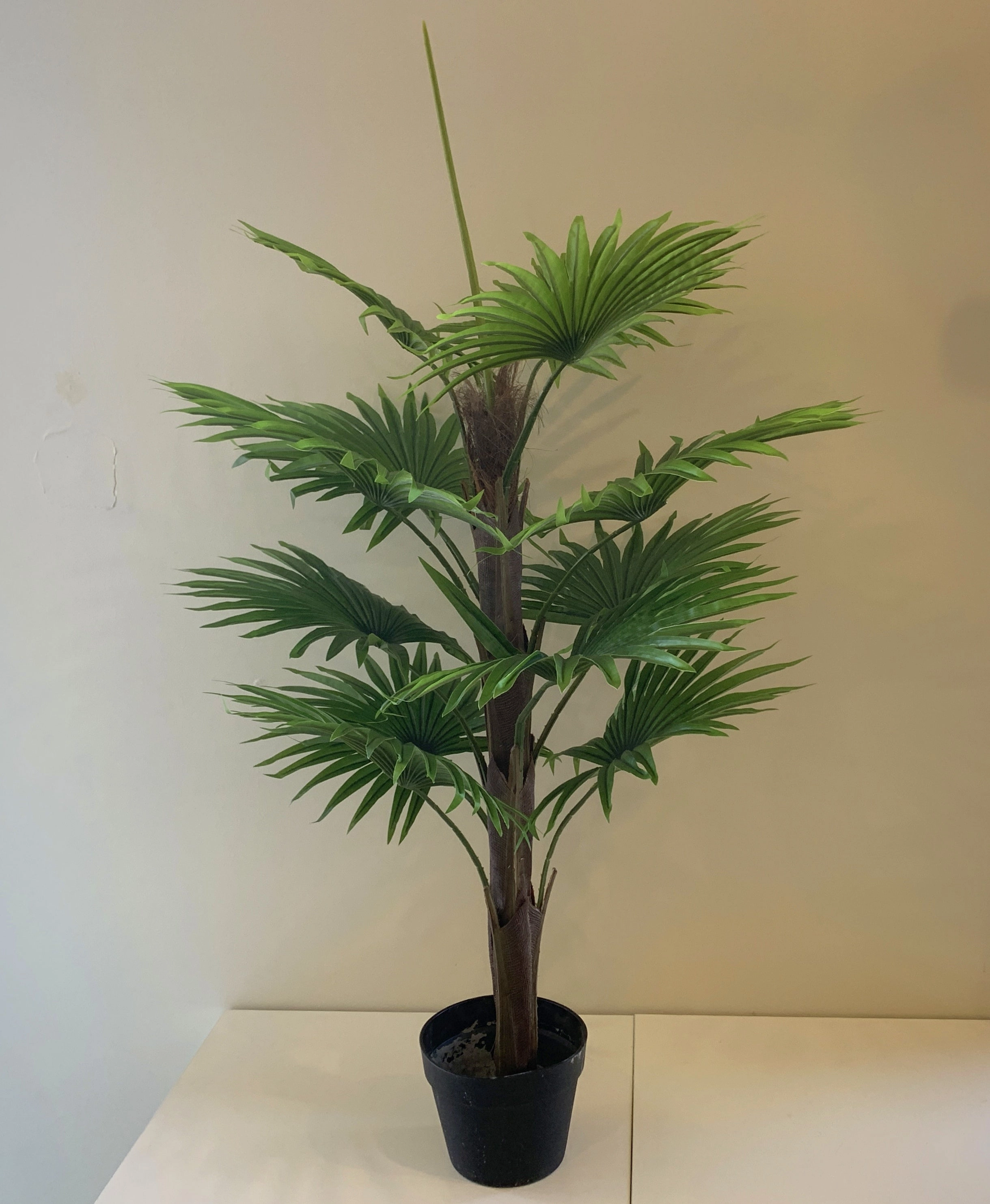 T0107-100 Ruffled Fan Palm Real Touch 100cm