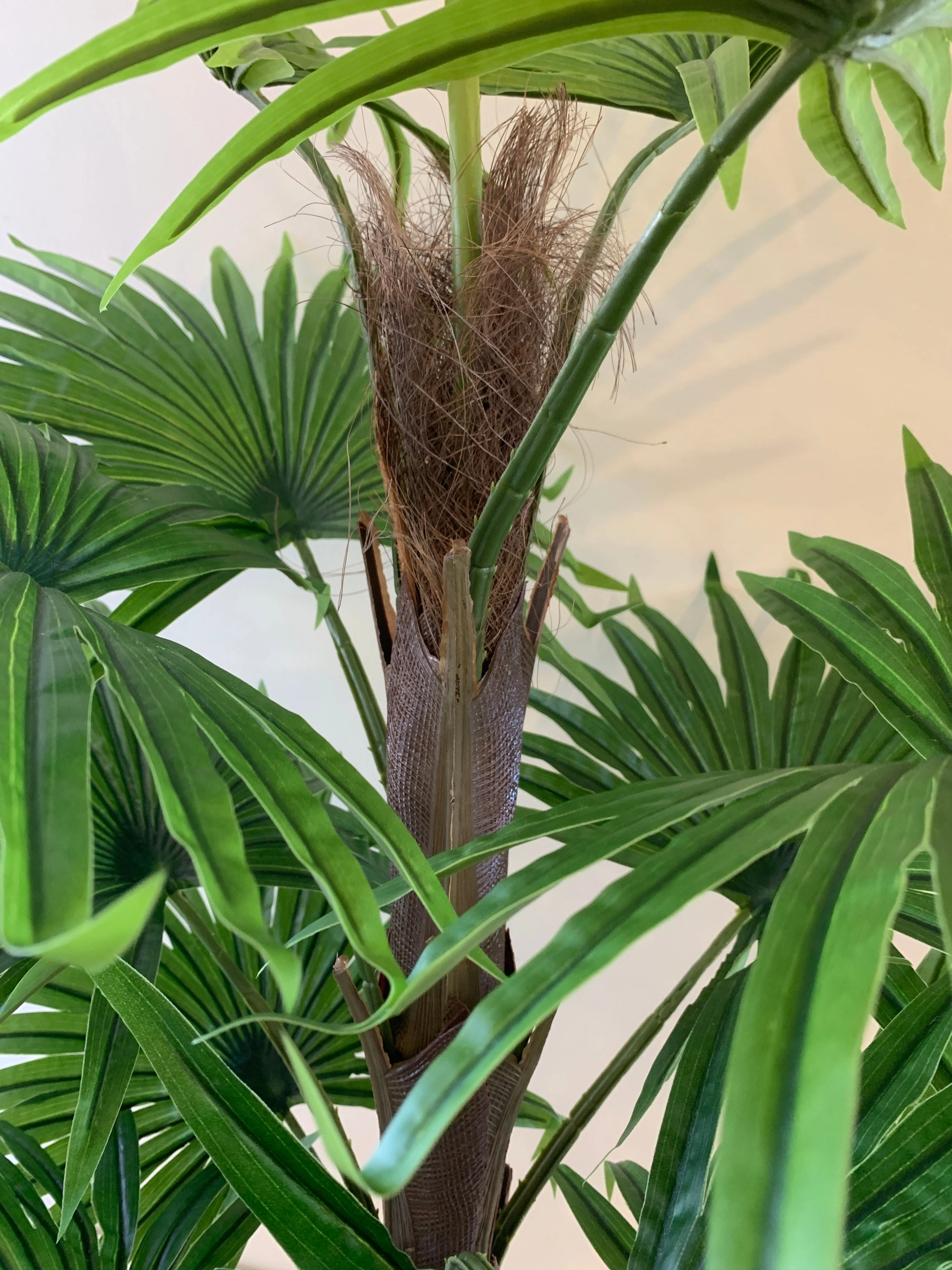 T0107-100 Ruffled Fan Palm Real Touch 100cm