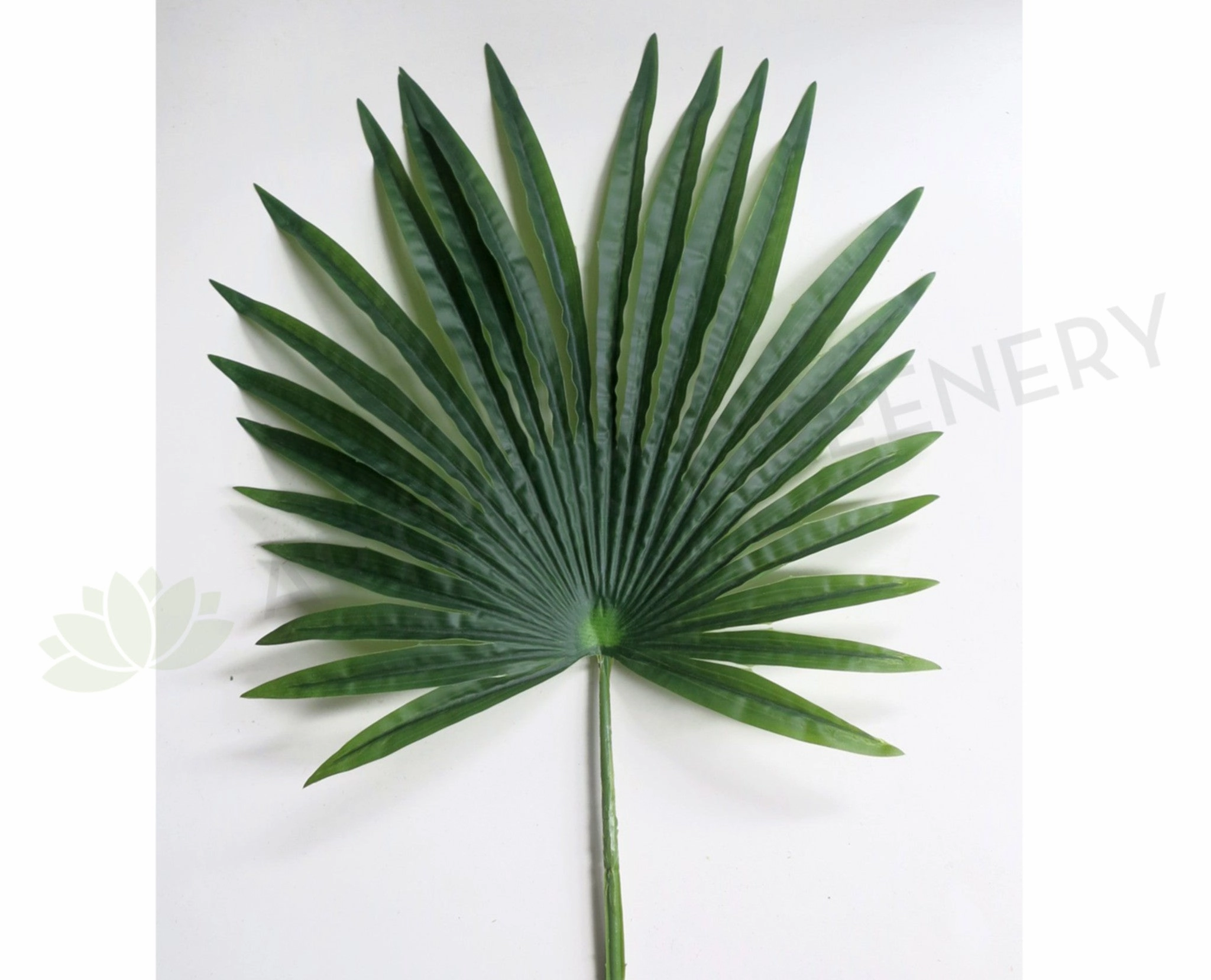 T0109 Fan Palm (set of 3) 300-220-170cm