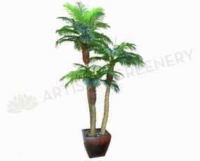 T0110 Phoenix Palm (set of 3) 300-220-170cm sun perennial  