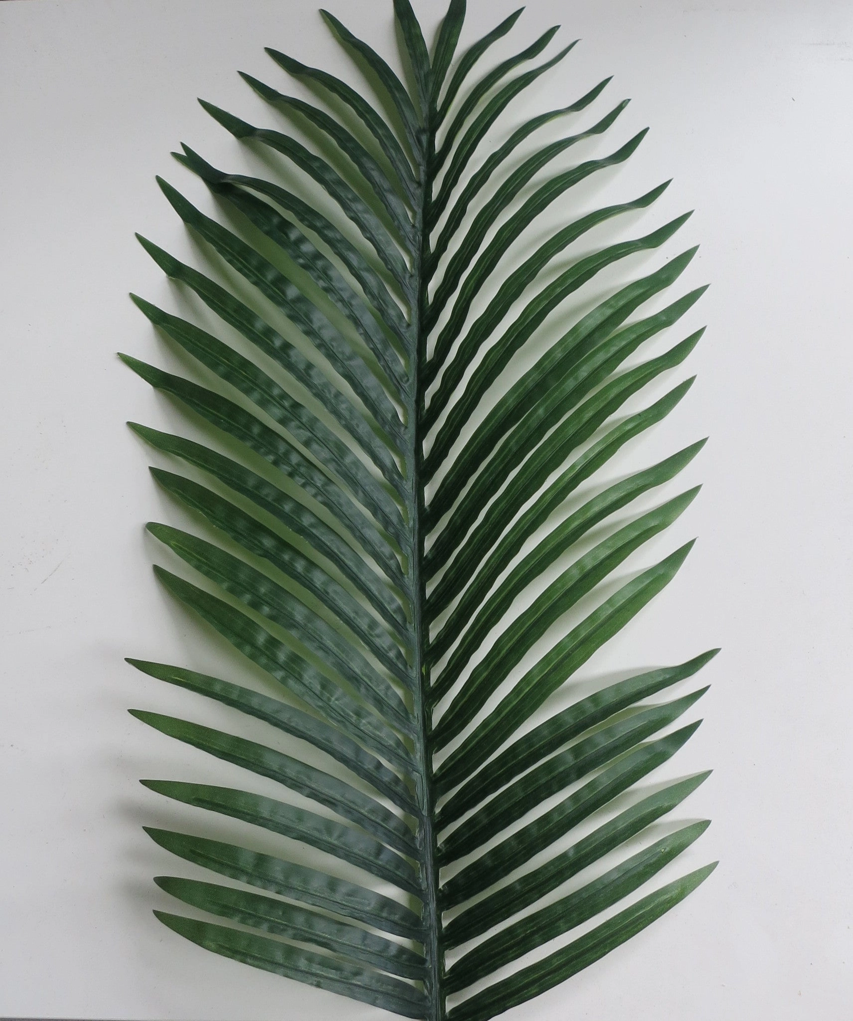 T0110 Phoenix Palm (set of 3) 300-220-170cm