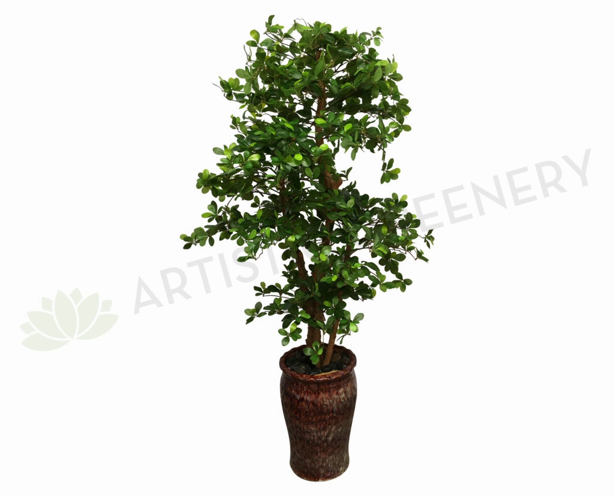 T0114 Schefflera (Bonsai Style) Real Wood Trunk & Real Touch Leaves 165cm sun perennial  