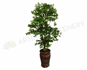 T0114 Schefflera (Bonsai Style) Real Wood Trunk & Real Touch Leaves 165cm sun perennial  