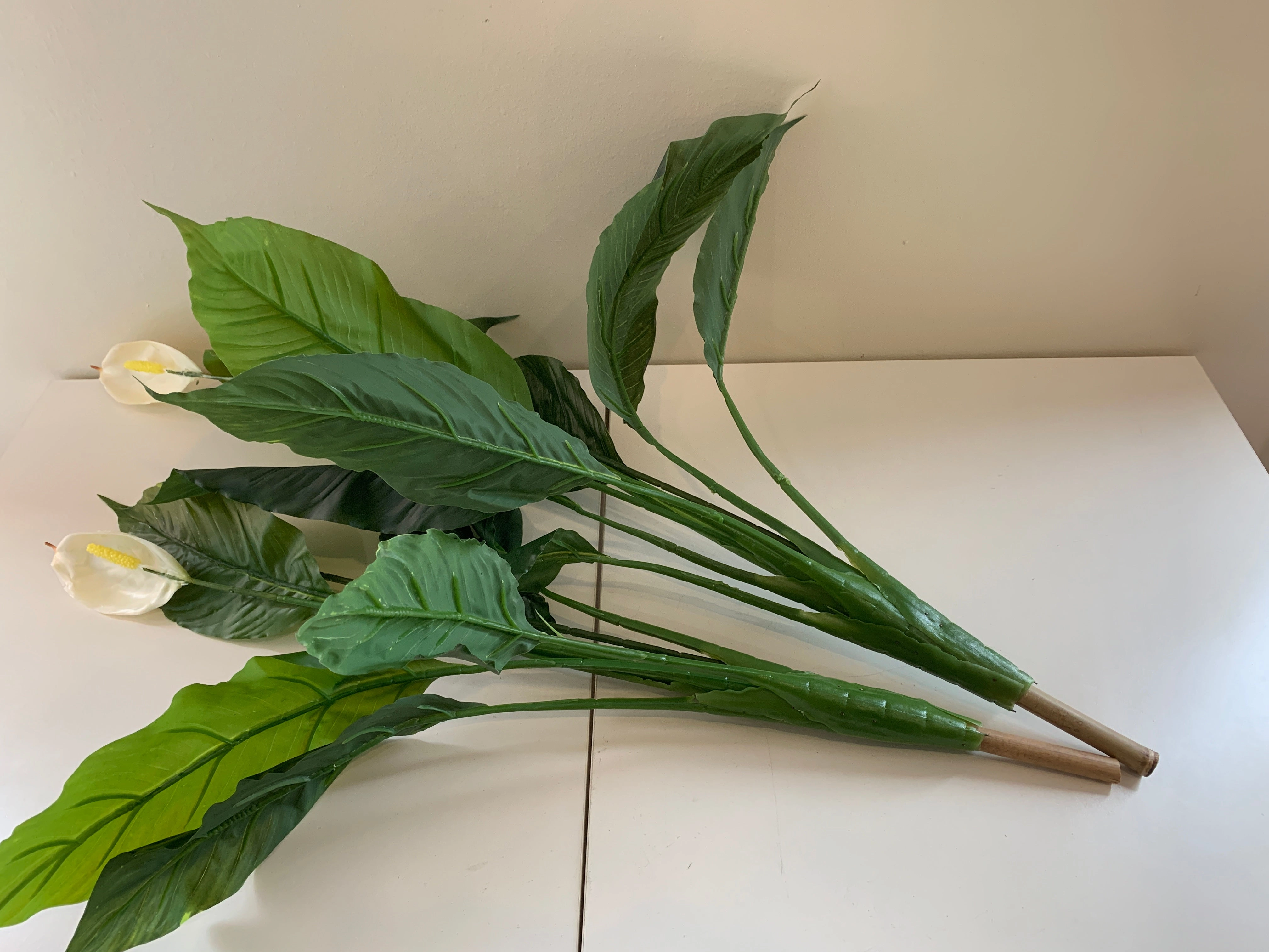 T0115 Peace Lily Plant White 2 Sizes