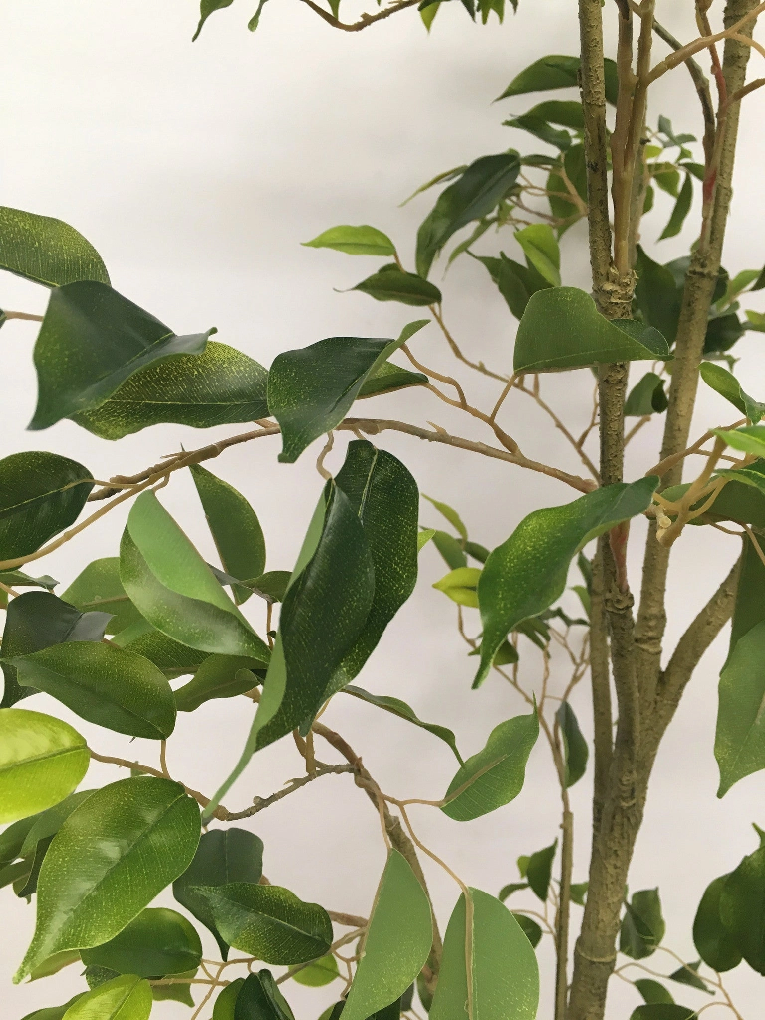 T0118 Ficus Tree Real Touch Leaves 140cm