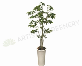 T0118 Ficus Tree Real Touch Leaves 140cm sun perennial  
