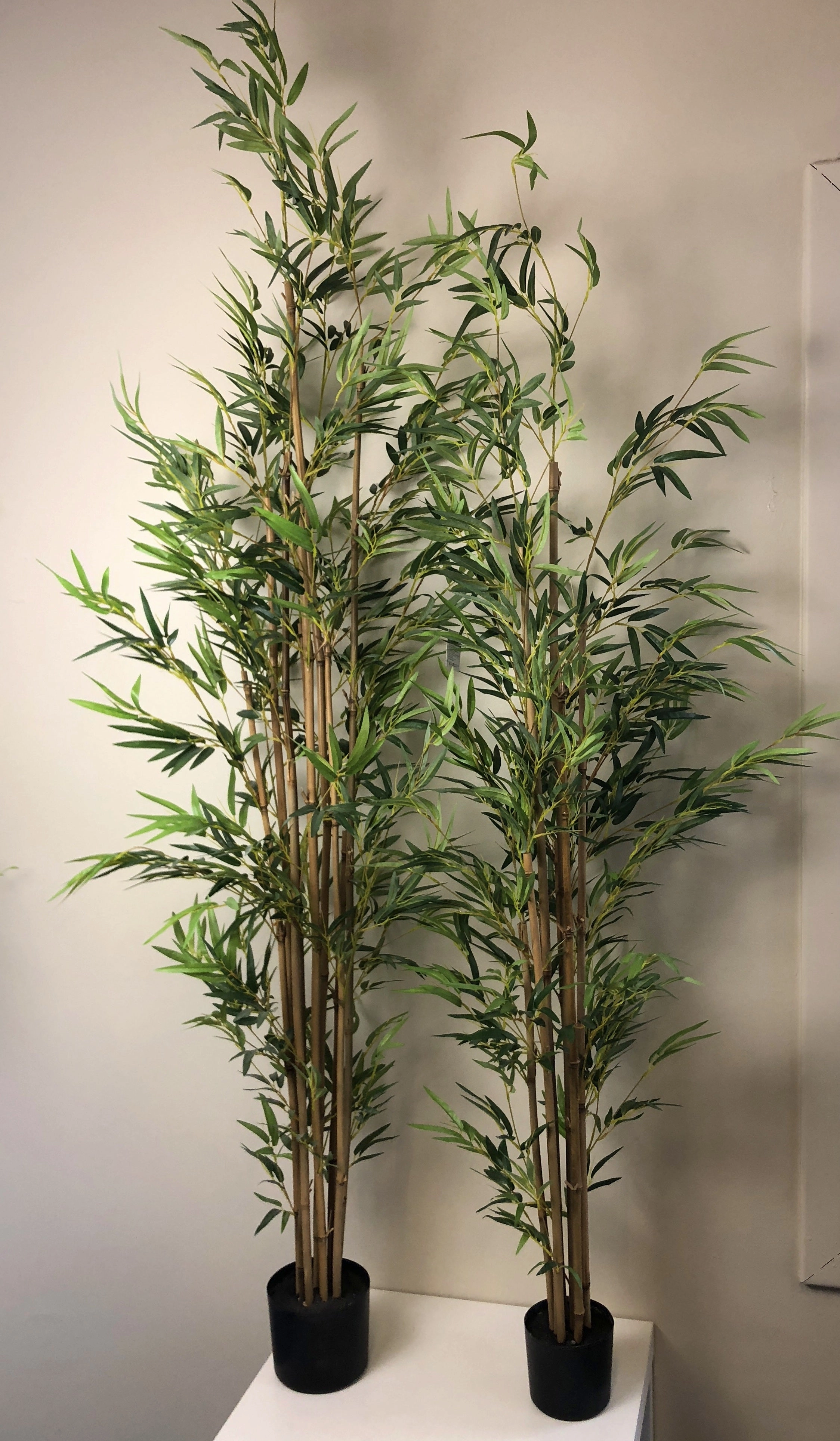 T0124 Bamboo Tree 3 Sizes 190cm / 150cm / 120cm