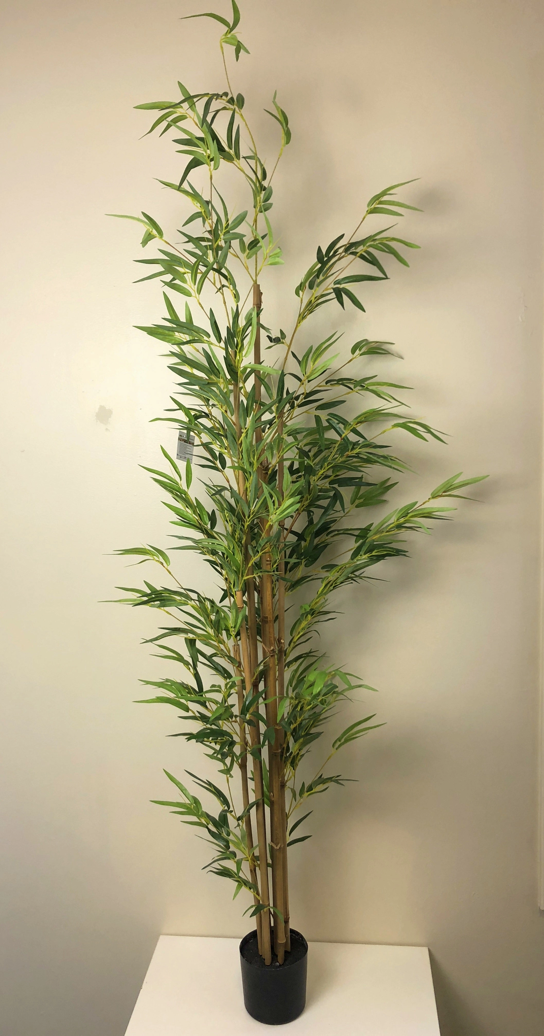 T0124 Bamboo Tree 3 Sizes 190cm / 150cm / 120cm