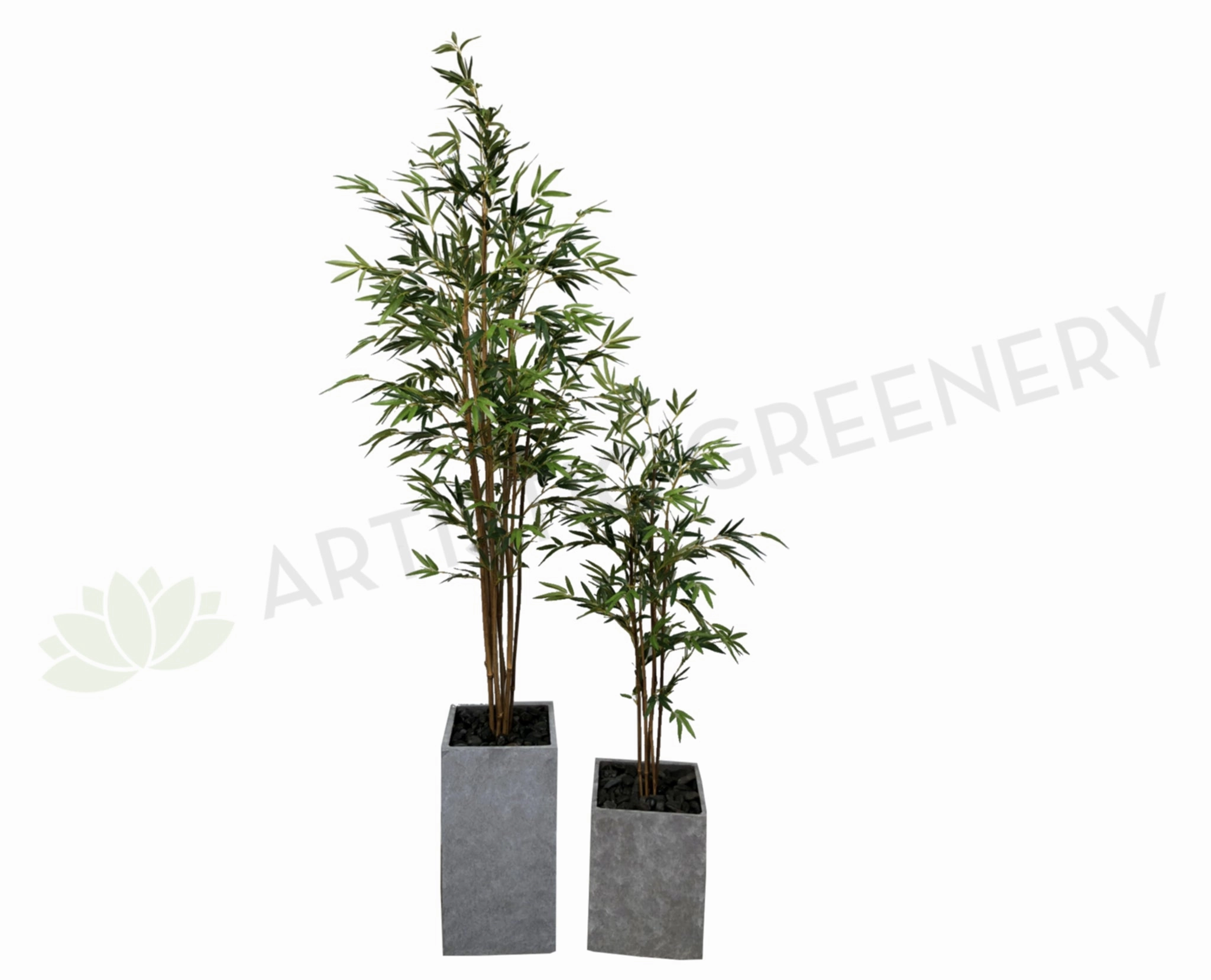 T0124 Bamboo Tree 3 Sizes 190cm / 150cm / 120cm sun perennial  