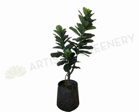 T0126 Fiddle Fig Tree / Fiddle-Leaf Fig Real Touch Leaves 170cm sun perennial  