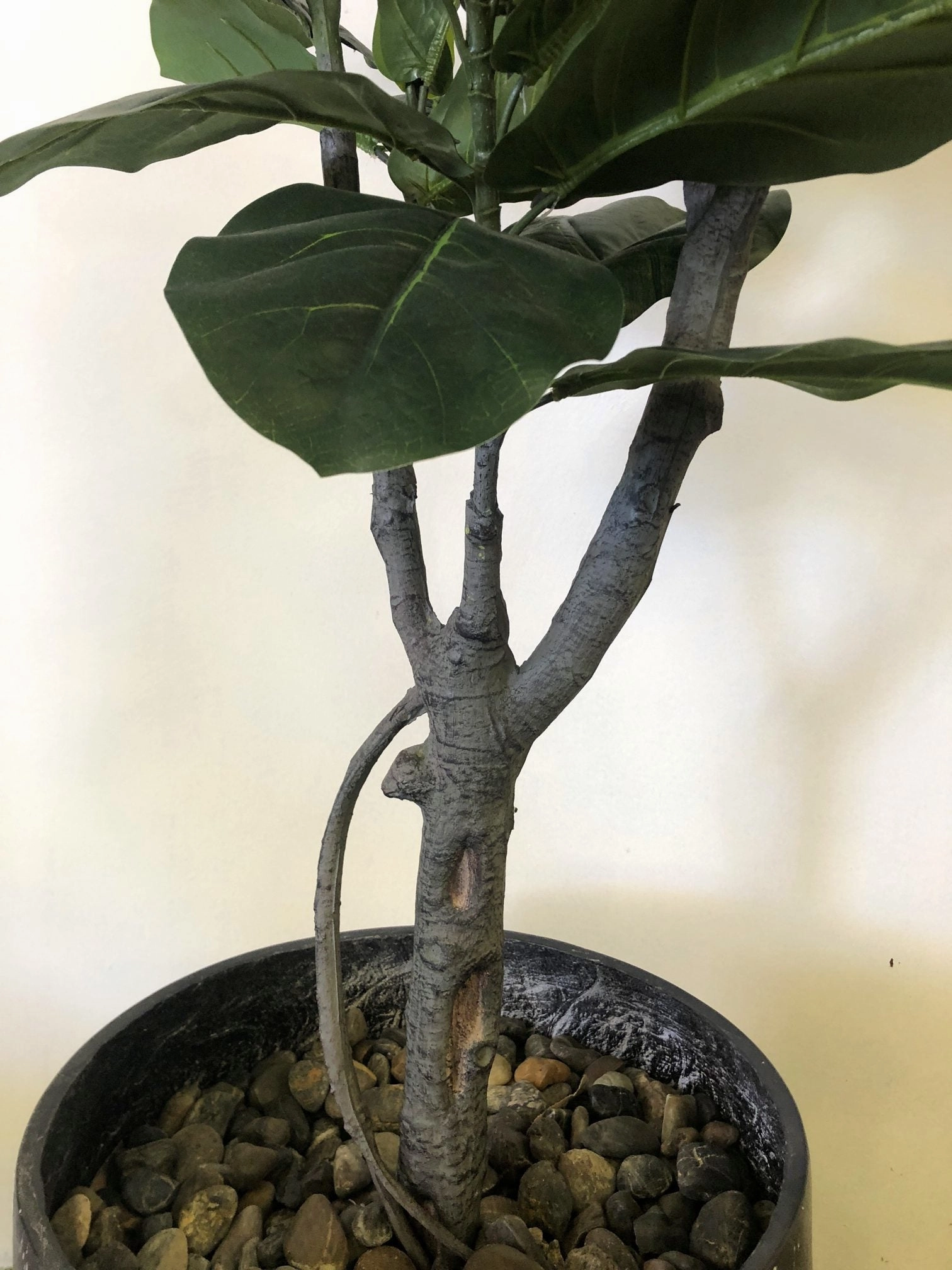 T0126 Fiddle Fig Tree / Fiddle-Leaf Fig Real Touch Leaves 170cm