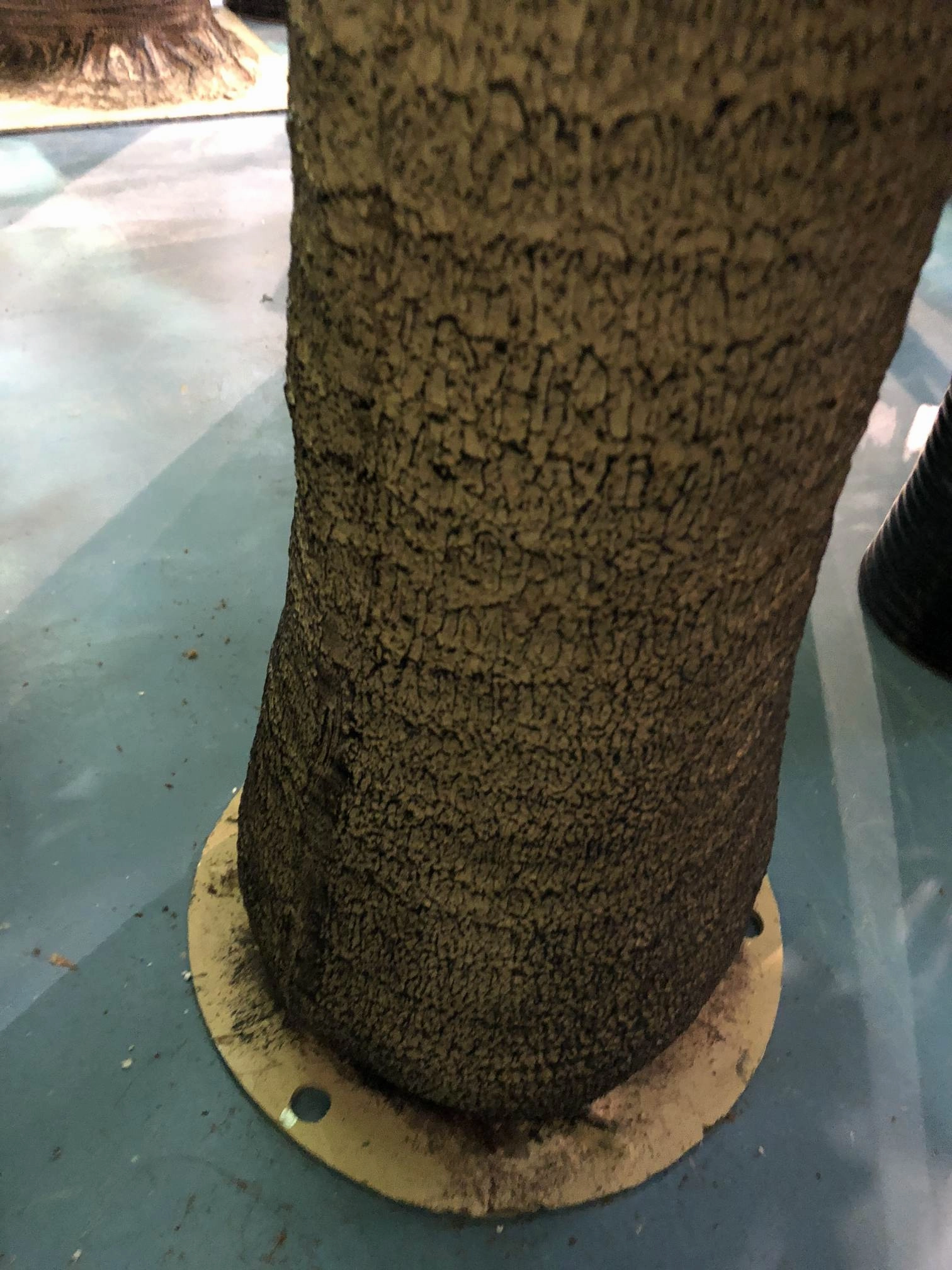 T0128 Fan Palm (Chamaerops) 280cm