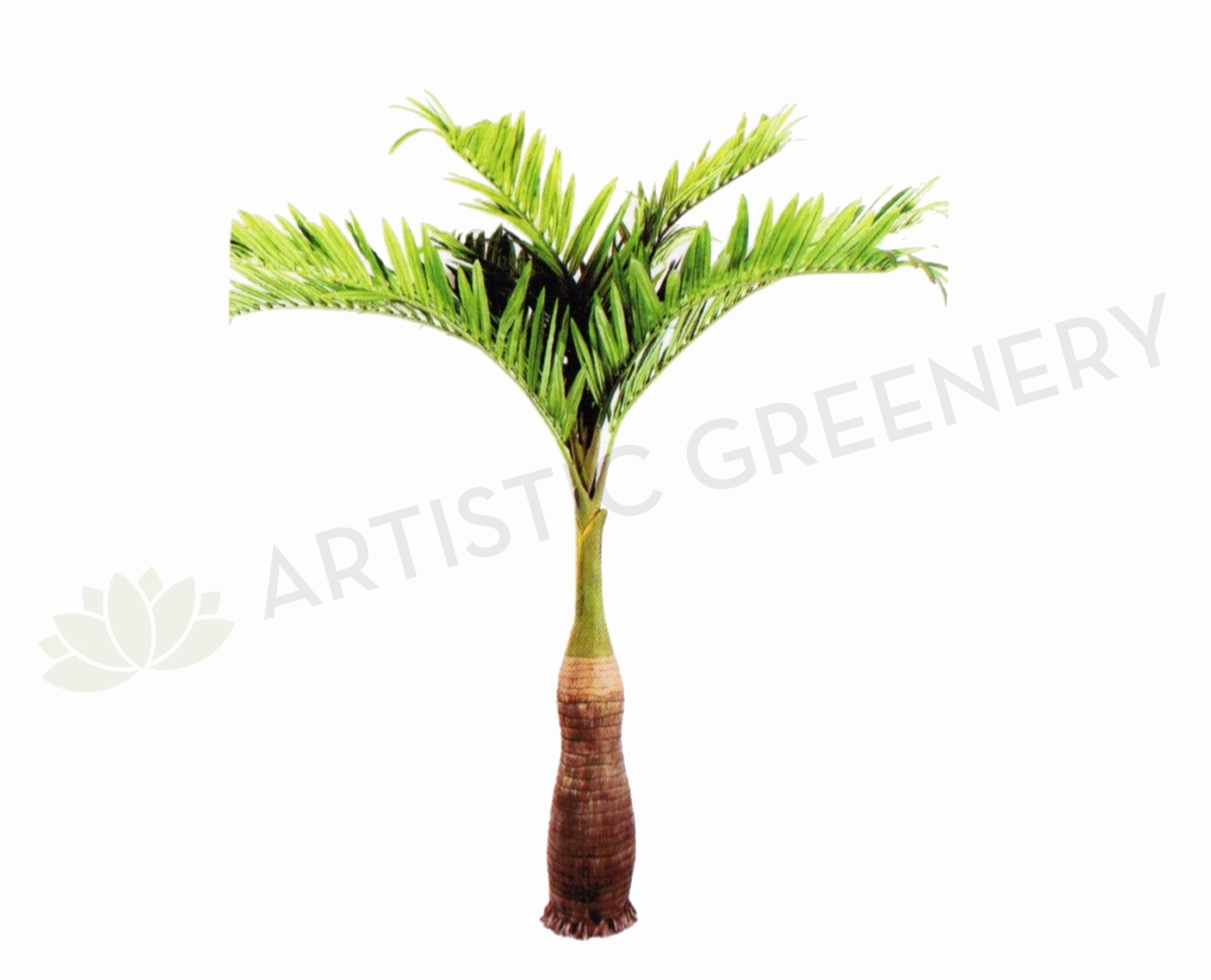 T0129 Phoenix Palm 280cm with Coconut sun perennial  