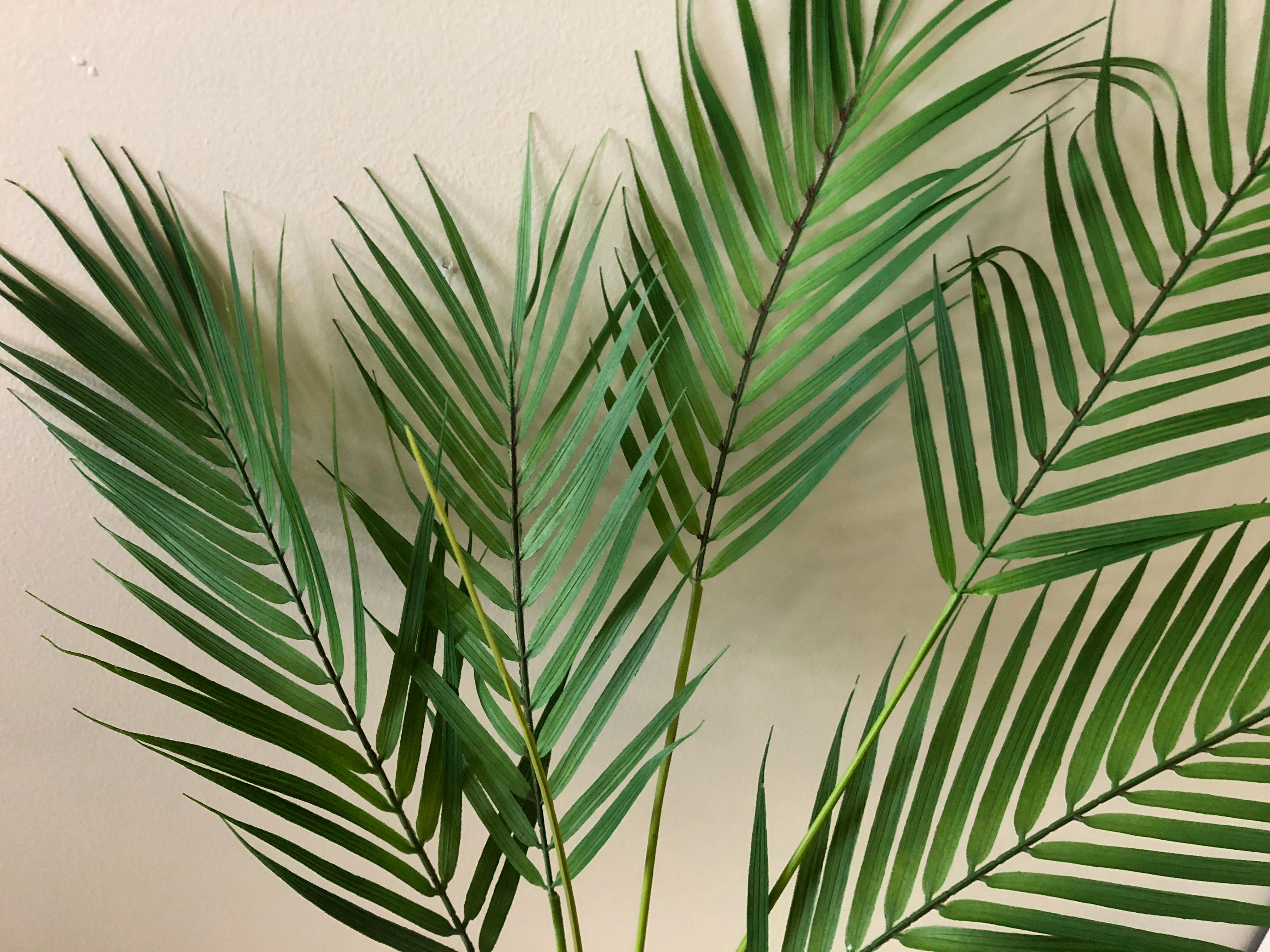 T0137-2 Areca Palm (Double) 90cm Ultra Realistic