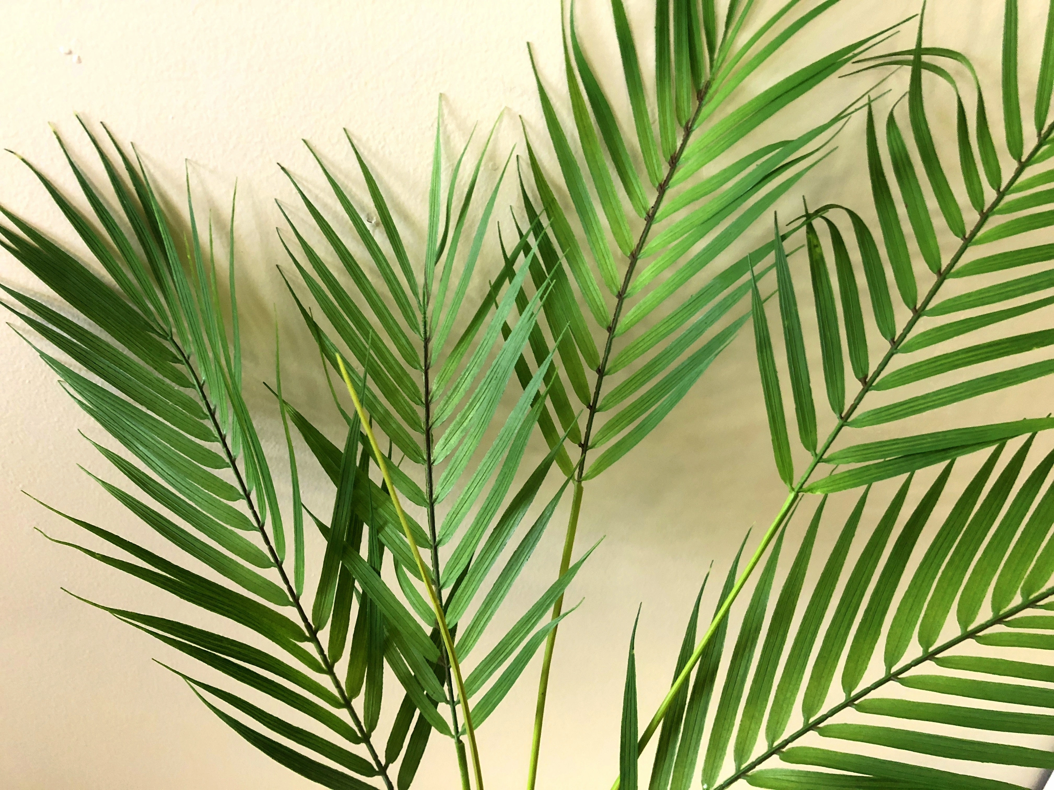 T0137 Areca Palm Branch 80cm Ultra Realistic