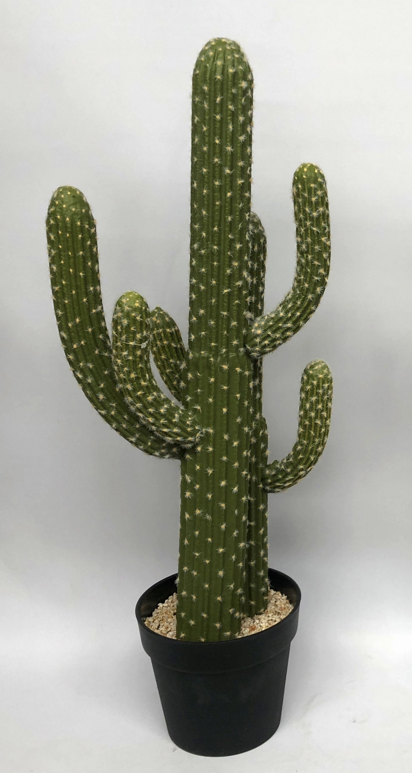 T0138 Finger Cactus & Pear Cactus in Pot 4 Styles
