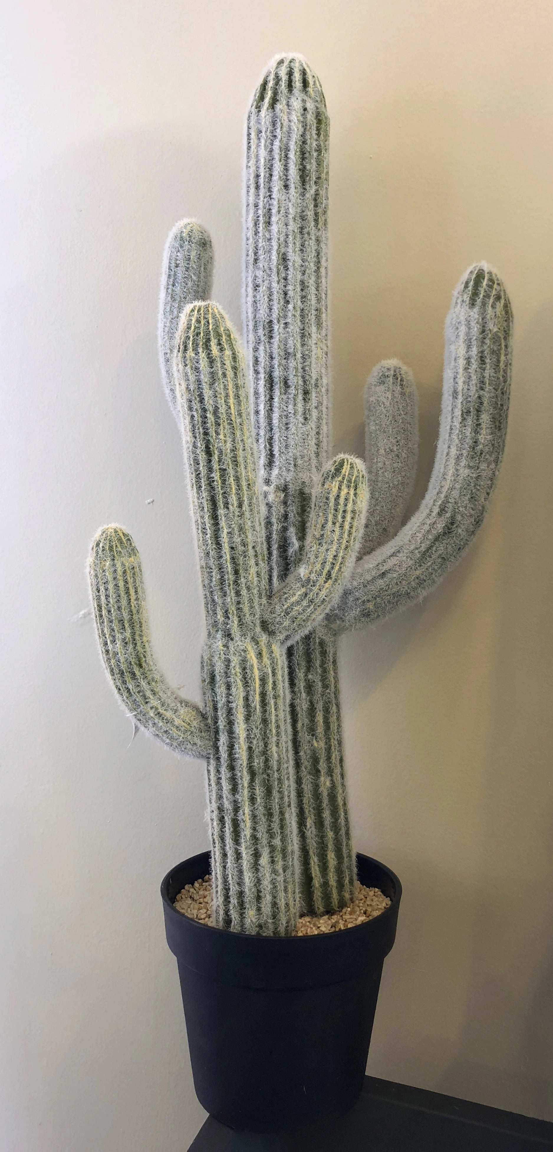 T0138 Finger Cactus & Pear Cactus in Pot 4 Styles