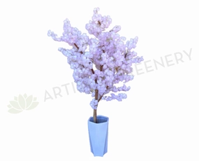 T0139 Blossom Tree 240cm Light Pink sun perennial  