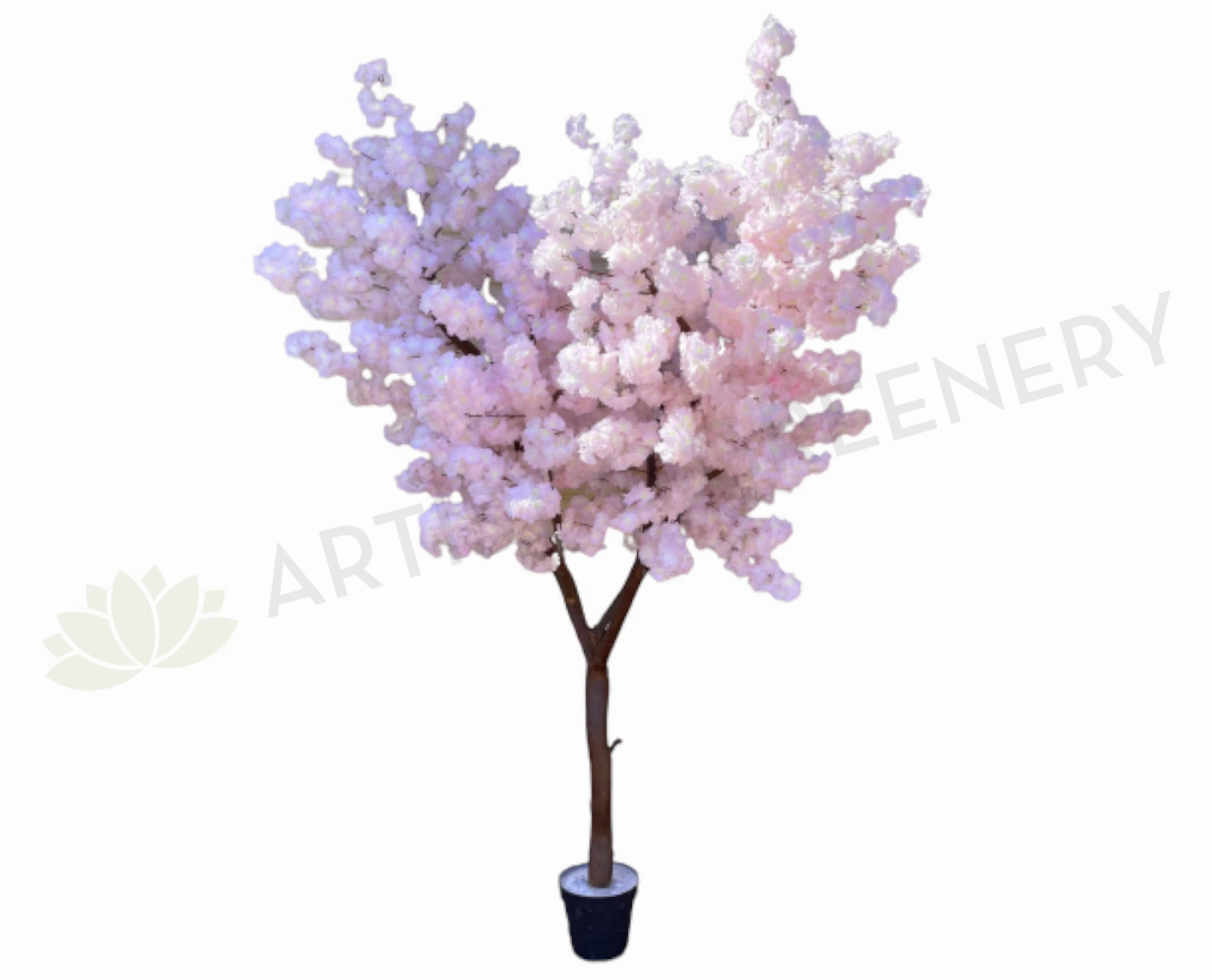 T0139HD Blossom Tree 240cm (High Density) Light Pink indoor houseplants  
