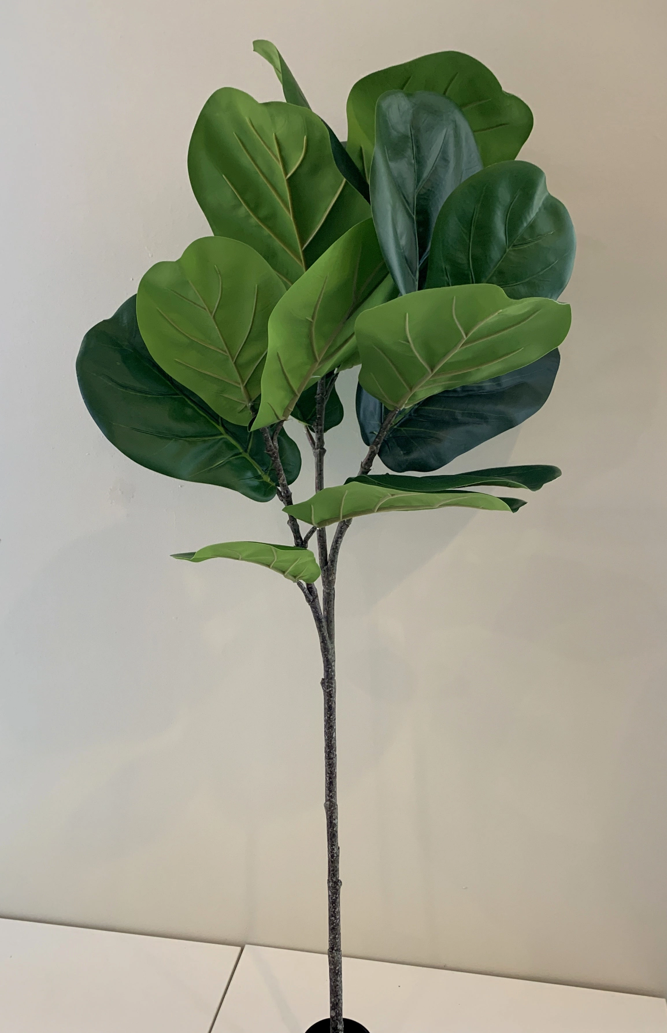 T0141 Fiddle Leaf Fig Branch Green 2 Sizes 64cm & 122cm