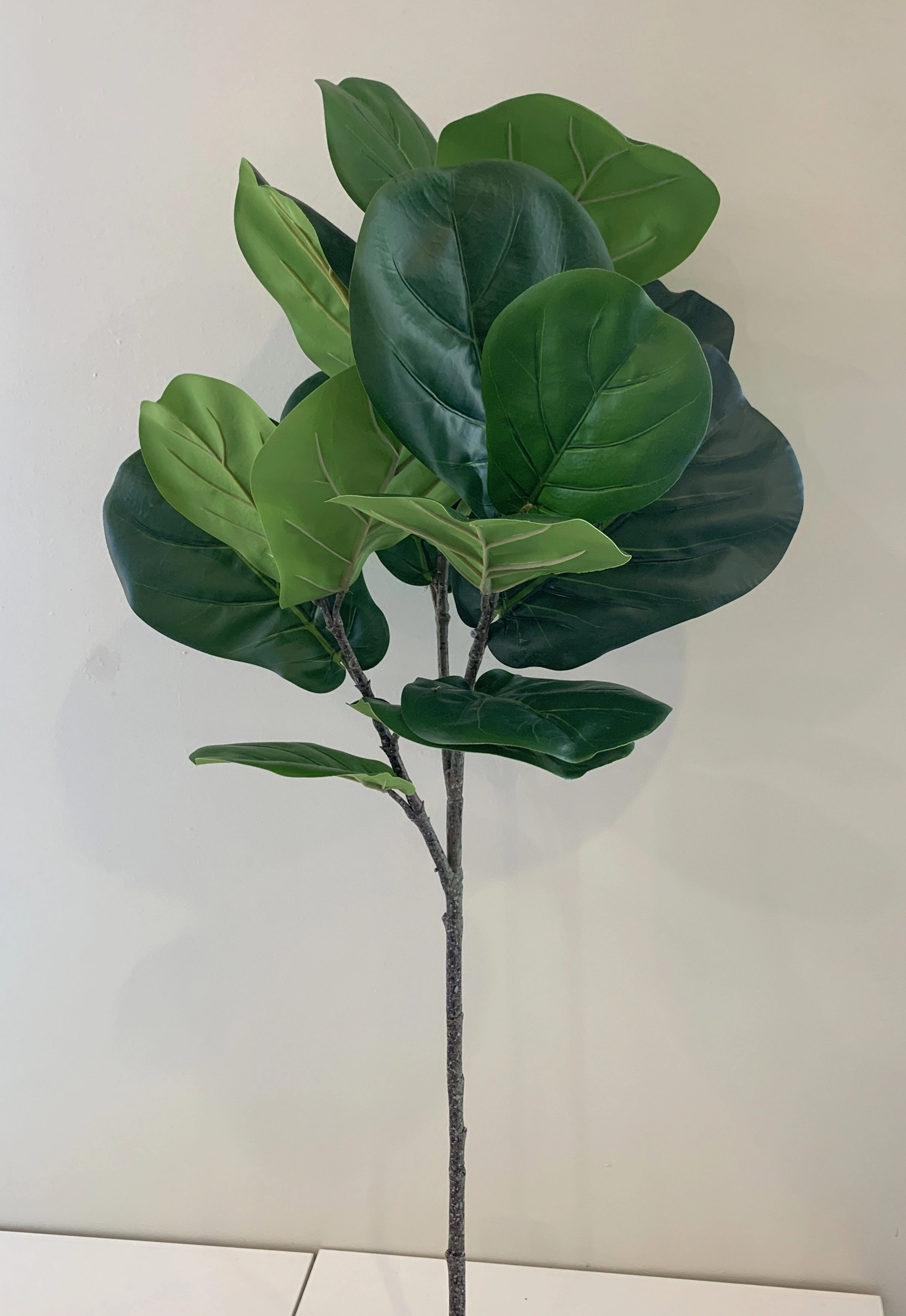 T0141 Fiddle Leaf Fig Branch Green 2 Sizes 64cm & 122cm