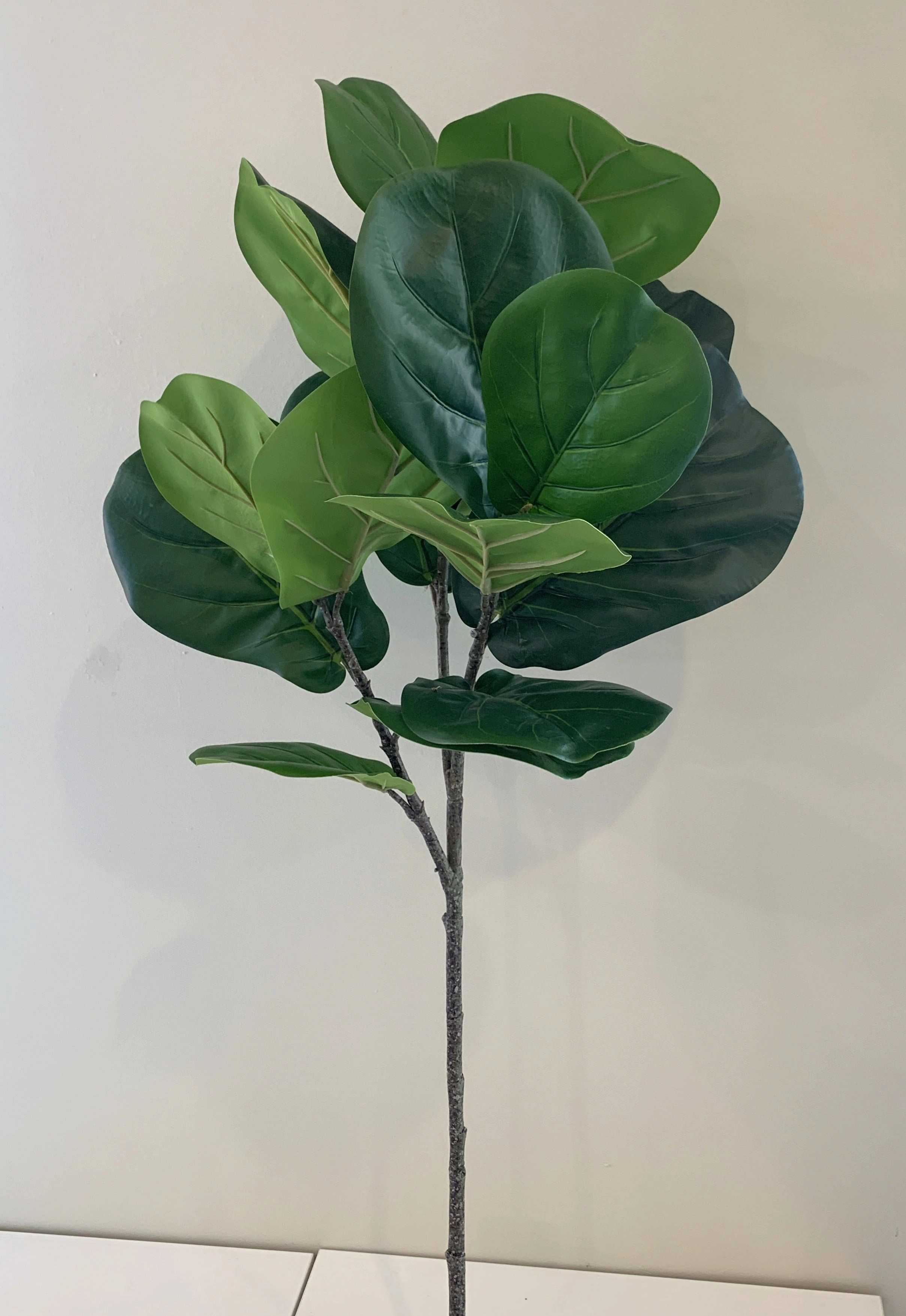 T0141 Fiddle Leaf Fig Branch Green 2 Sizes 64cm & 122cm