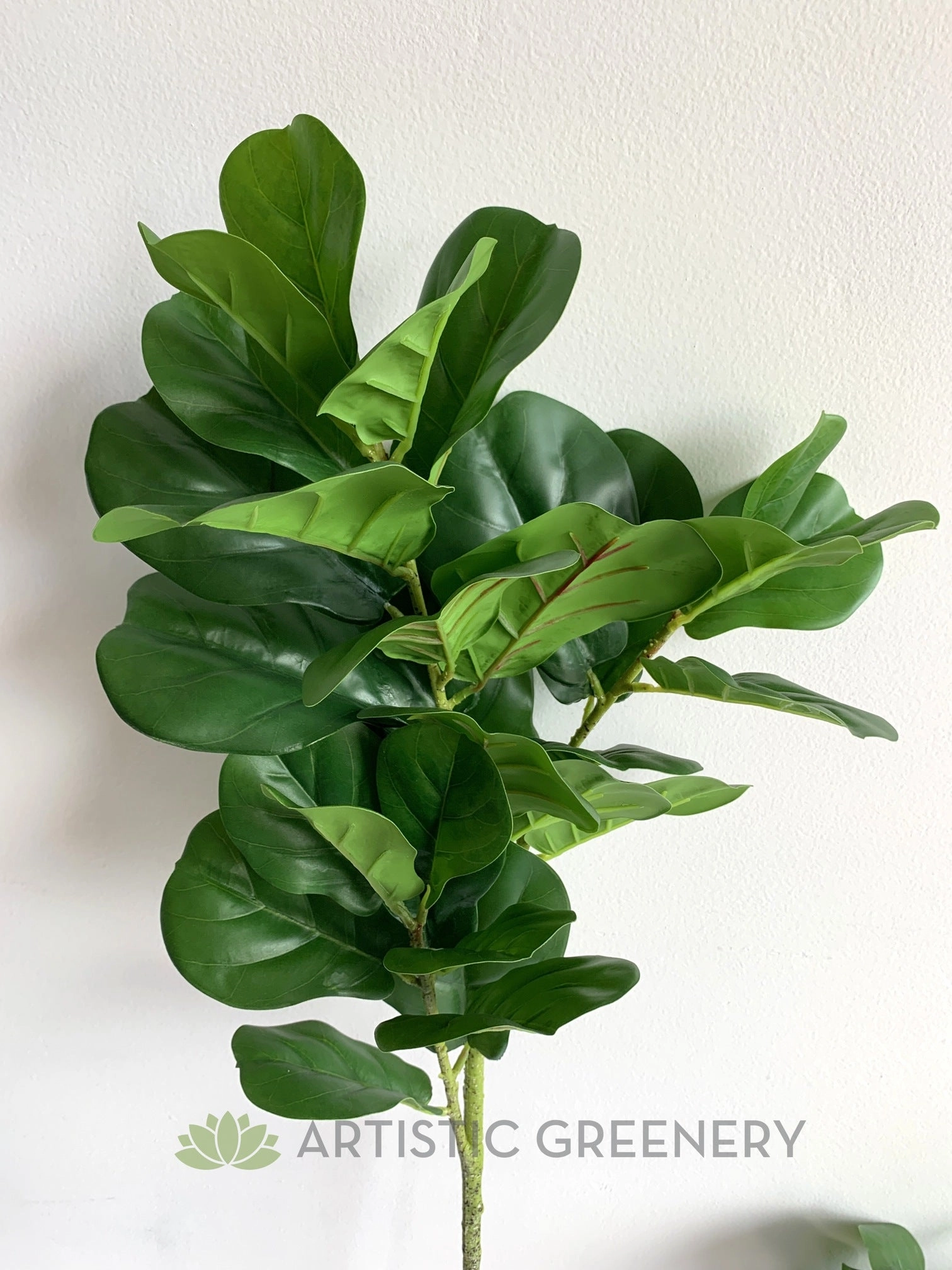 T0141 Fiddle Leaf Fig Branch Green 2 Sizes 64cm & 122cm