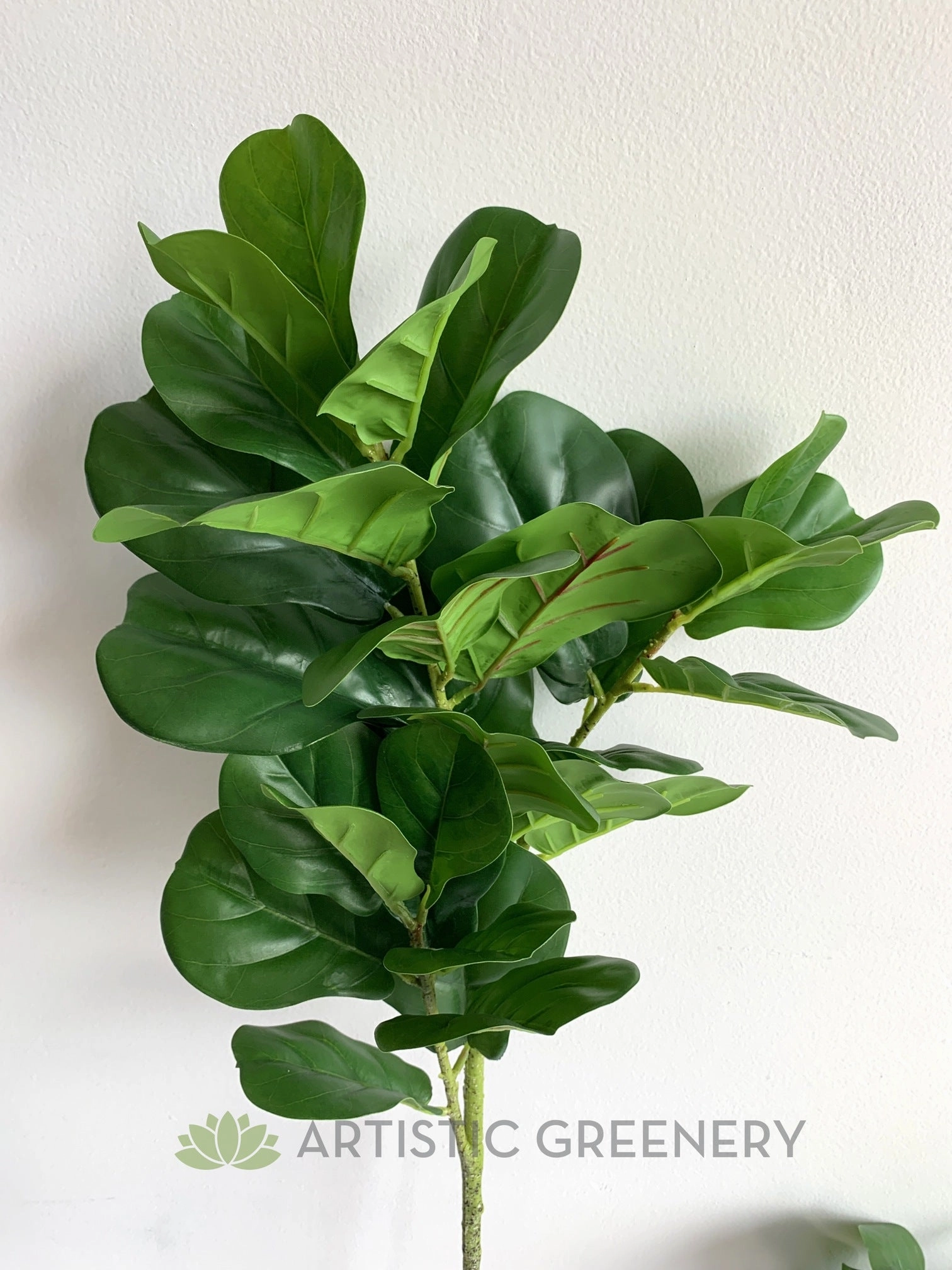 T0141 Fiddle Leaf Fig Branch Green 2 Sizes 64cm & 122cm